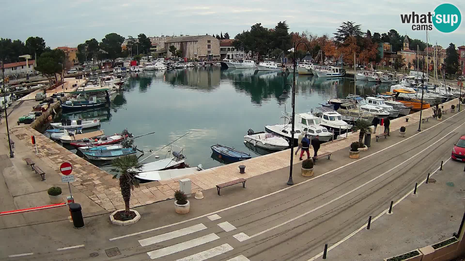 Novigrad webcam Mandrač | Cittanova in Istria – Porto vecchio