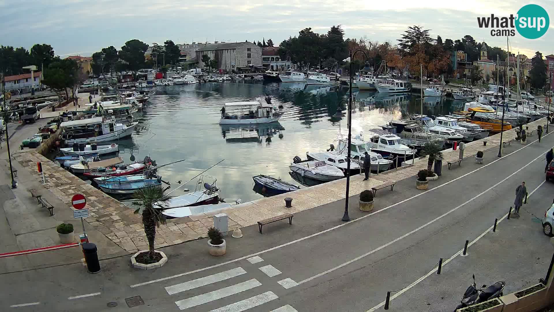 Novigrad webcam Mandrač | Cittanova in Istria – Porto vecchio