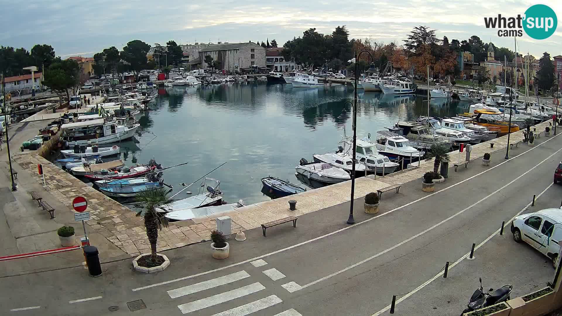 Novigrad webcam Mandrač | alten Hafen – Istrien