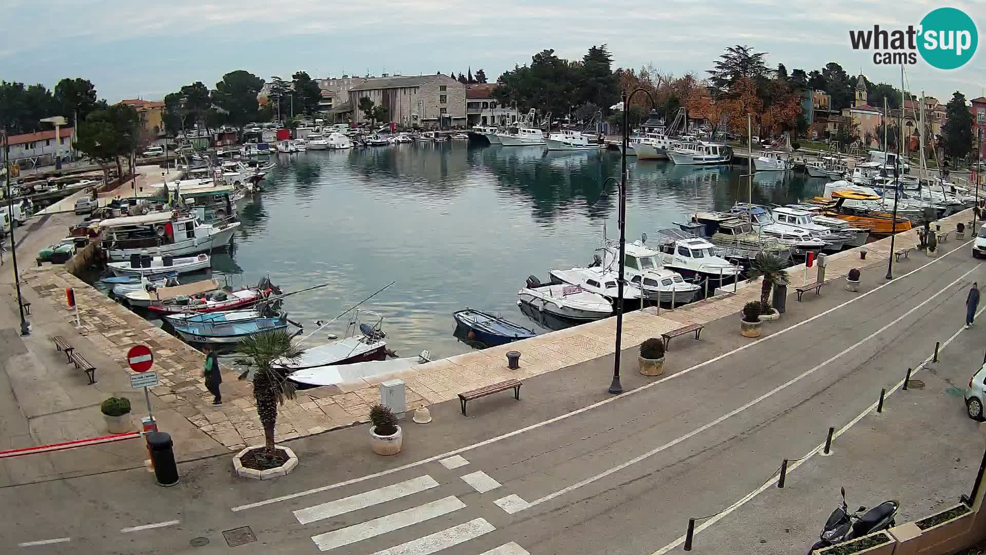 Novigrad webcam Mandrač | alten Hafen – Istrien