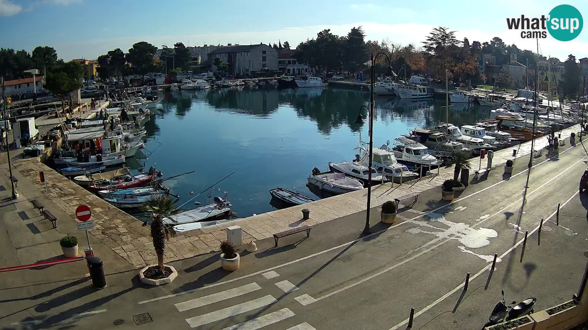 Novigrad webcam Mandrač | Cittanova in Istria – Porto vecchio