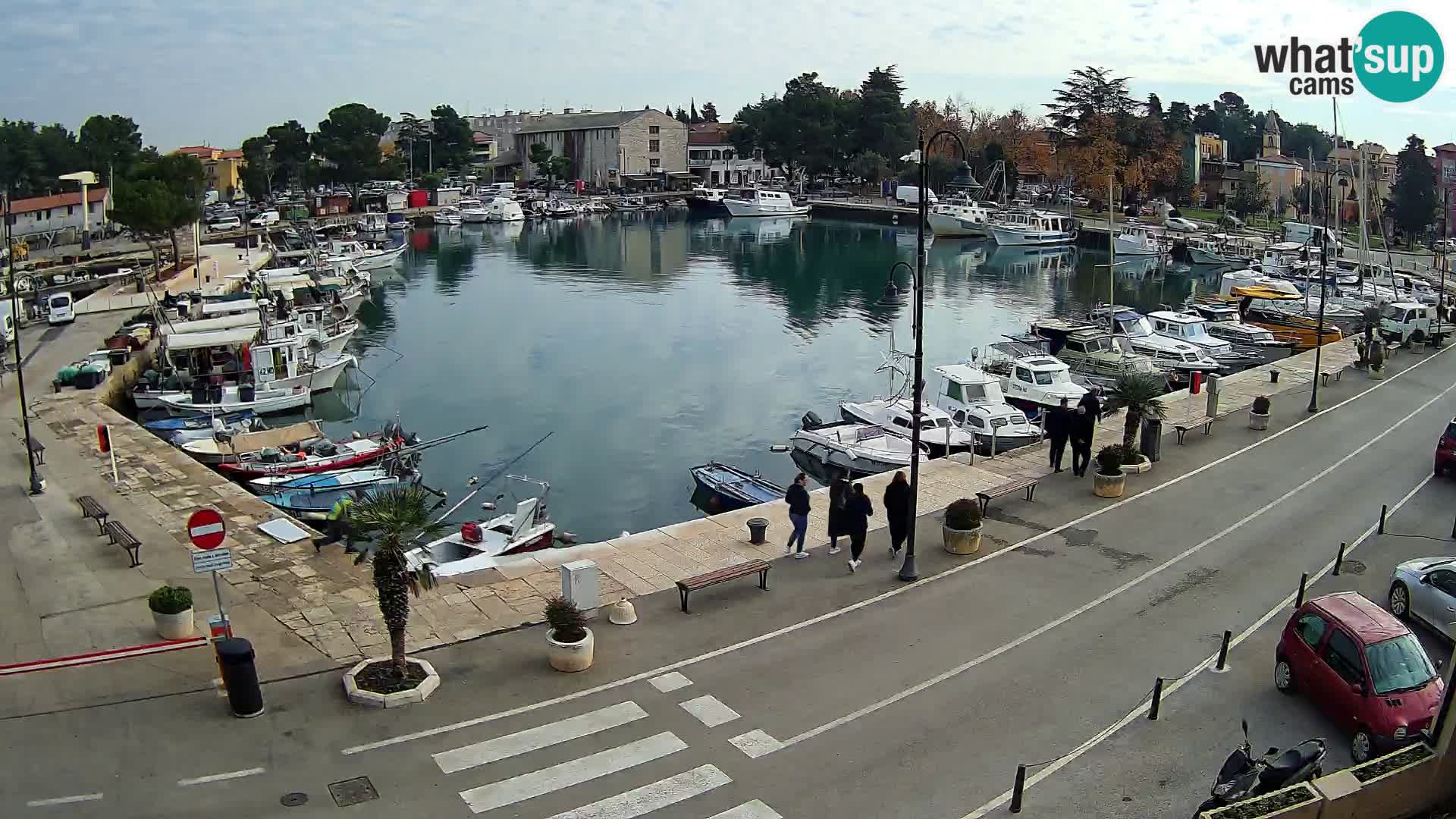 Novigrad webcam Mandrač | Cittanova in Istria – Porto vecchio