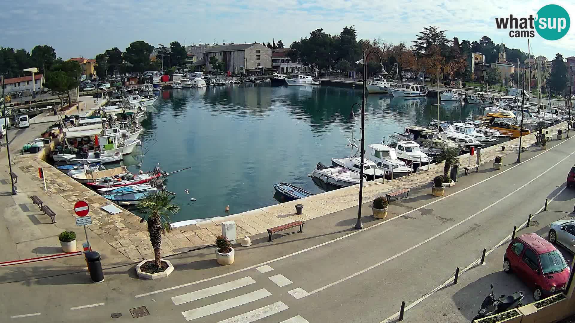 Novigrad webcam Mandrač | alten Hafen – Istrien