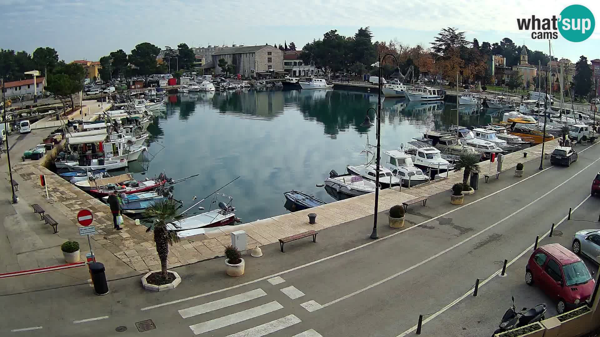 Novigrad kamera Mandrač – Istra