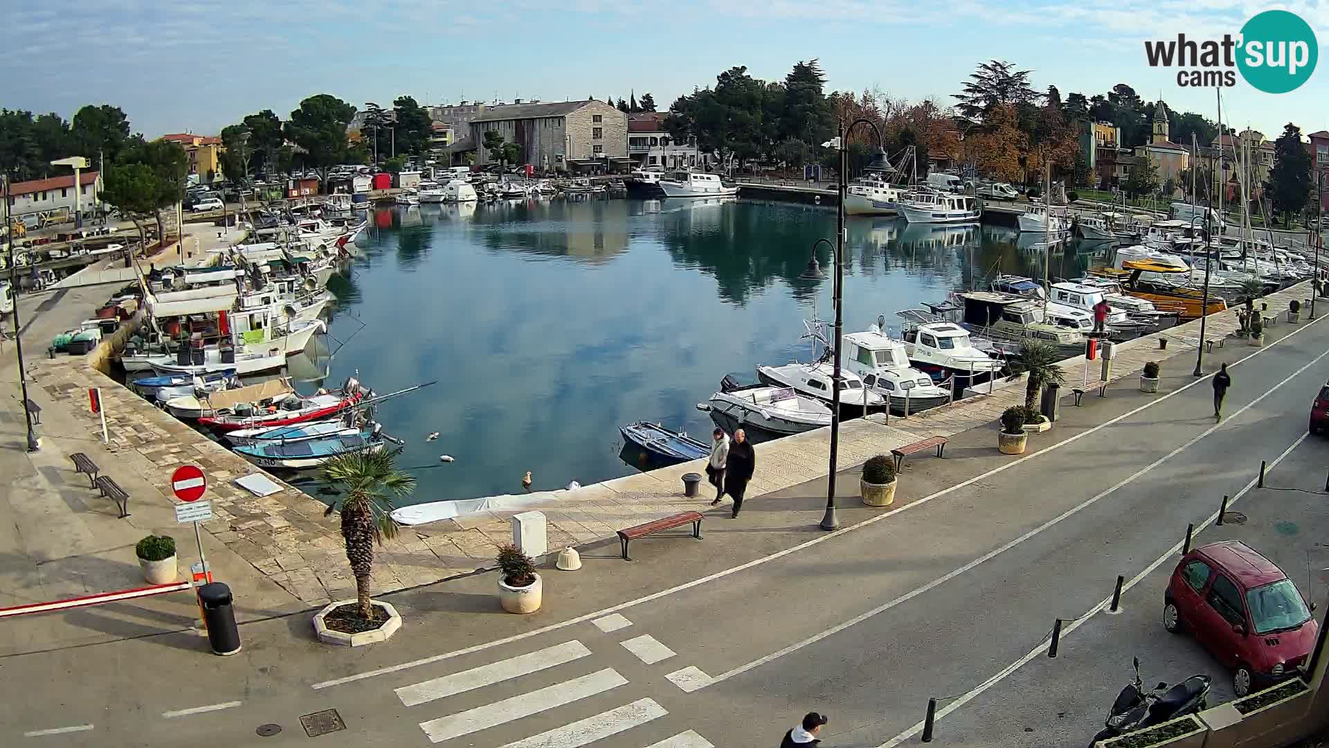 Novigrad webcam Mandrač | Cittanova in Istria – Porto vecchio