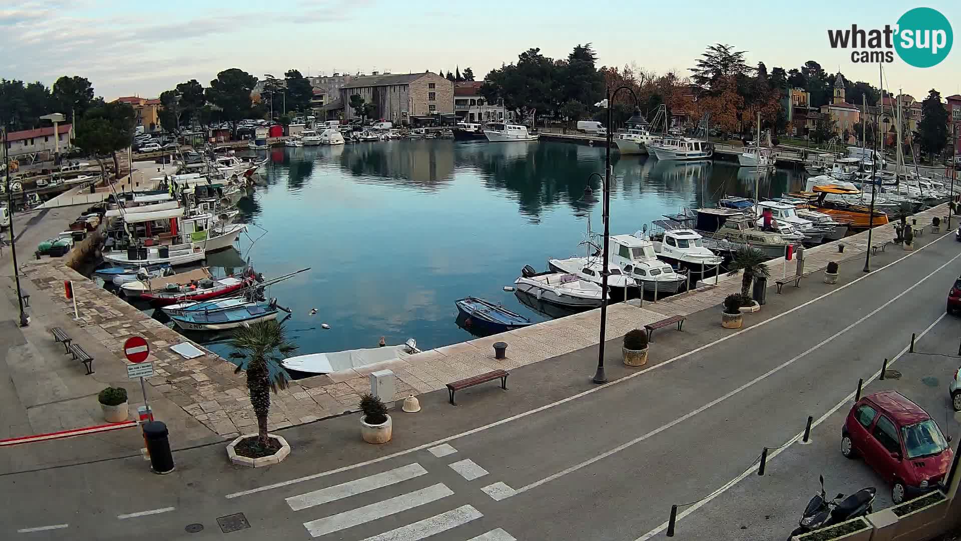 Novigrad webcam Mandrač | Cittanova in Istria – Porto vecchio