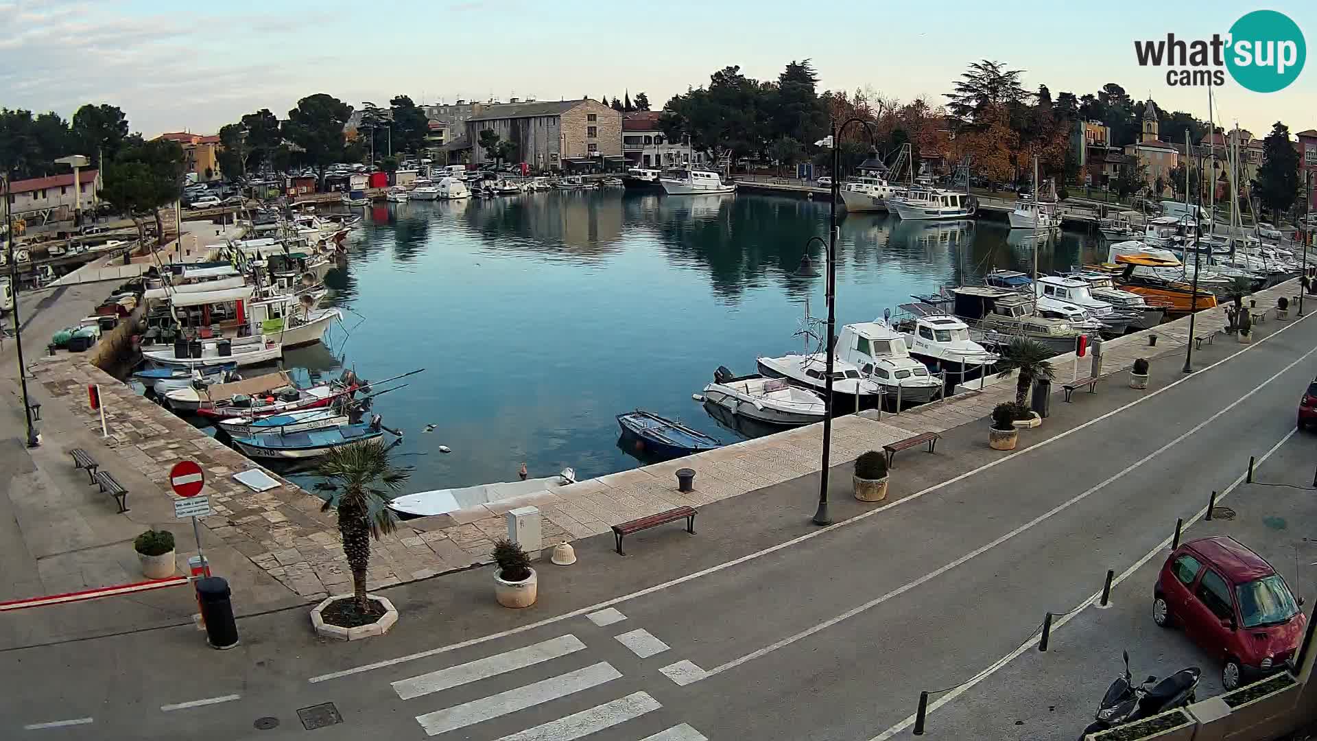 Novigrad webcam Mandrač | Cittanova in Istria – Porto vecchio