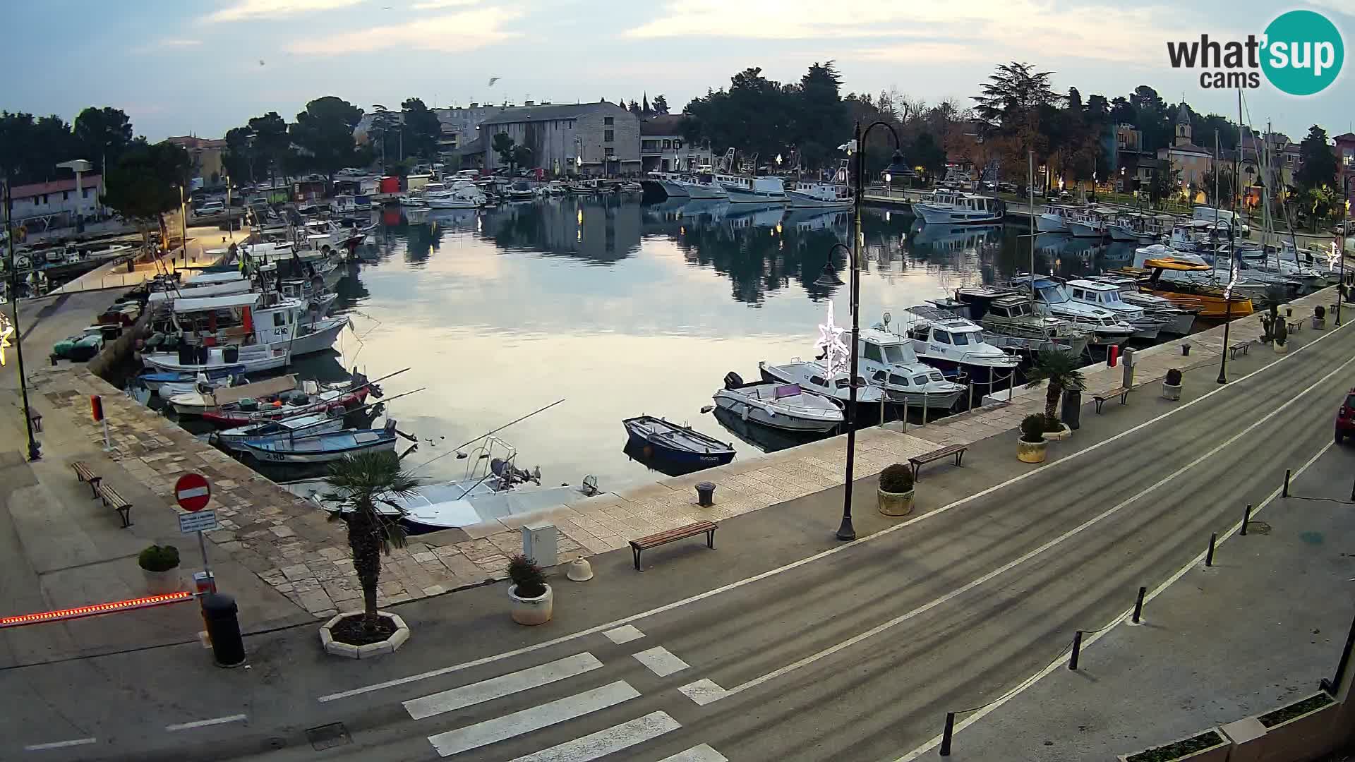 Novigrad kamera Mandrač – Istra