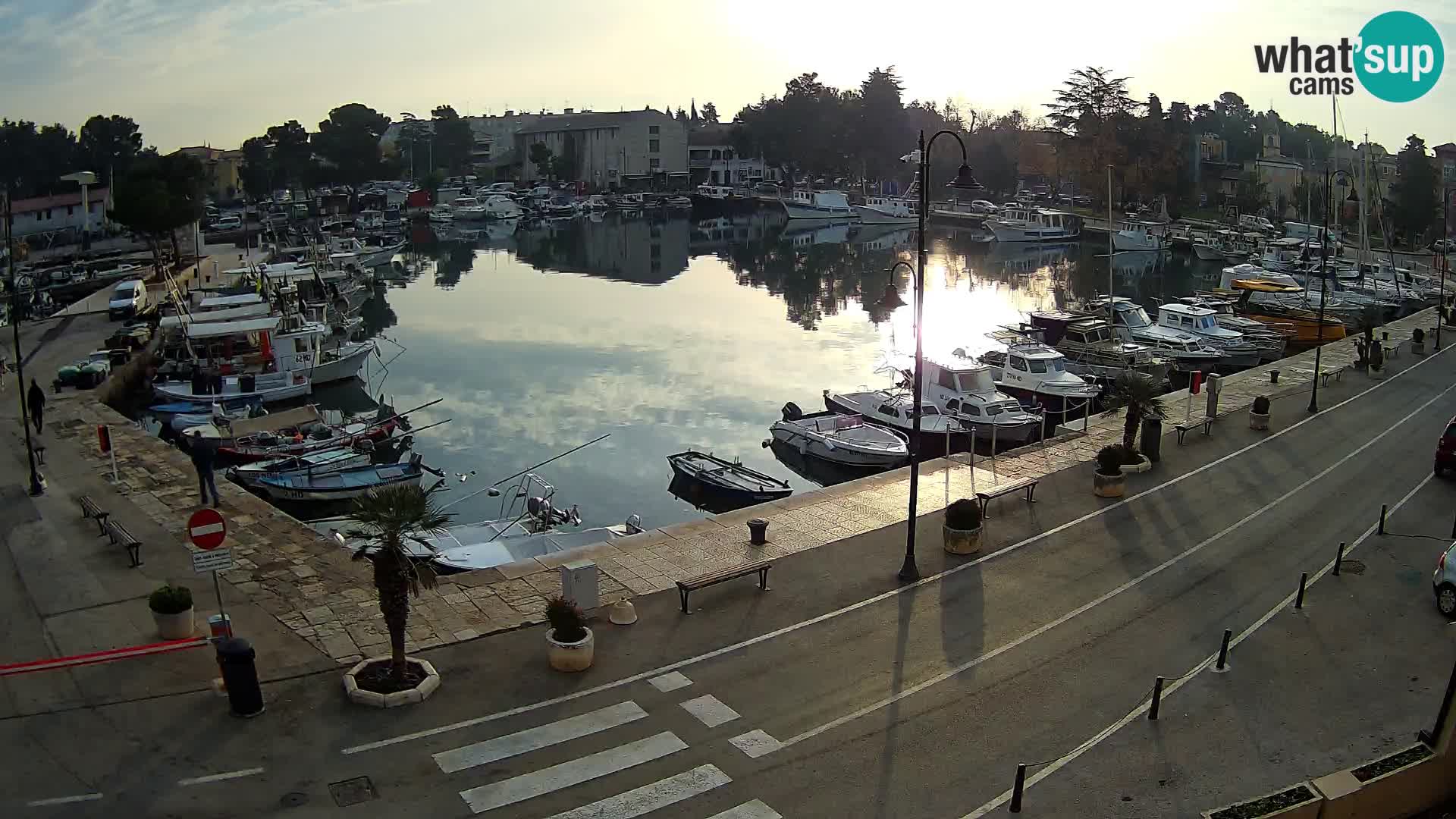 Novigrad webcam Mandrač | Cittanova in Istria – Porto vecchio