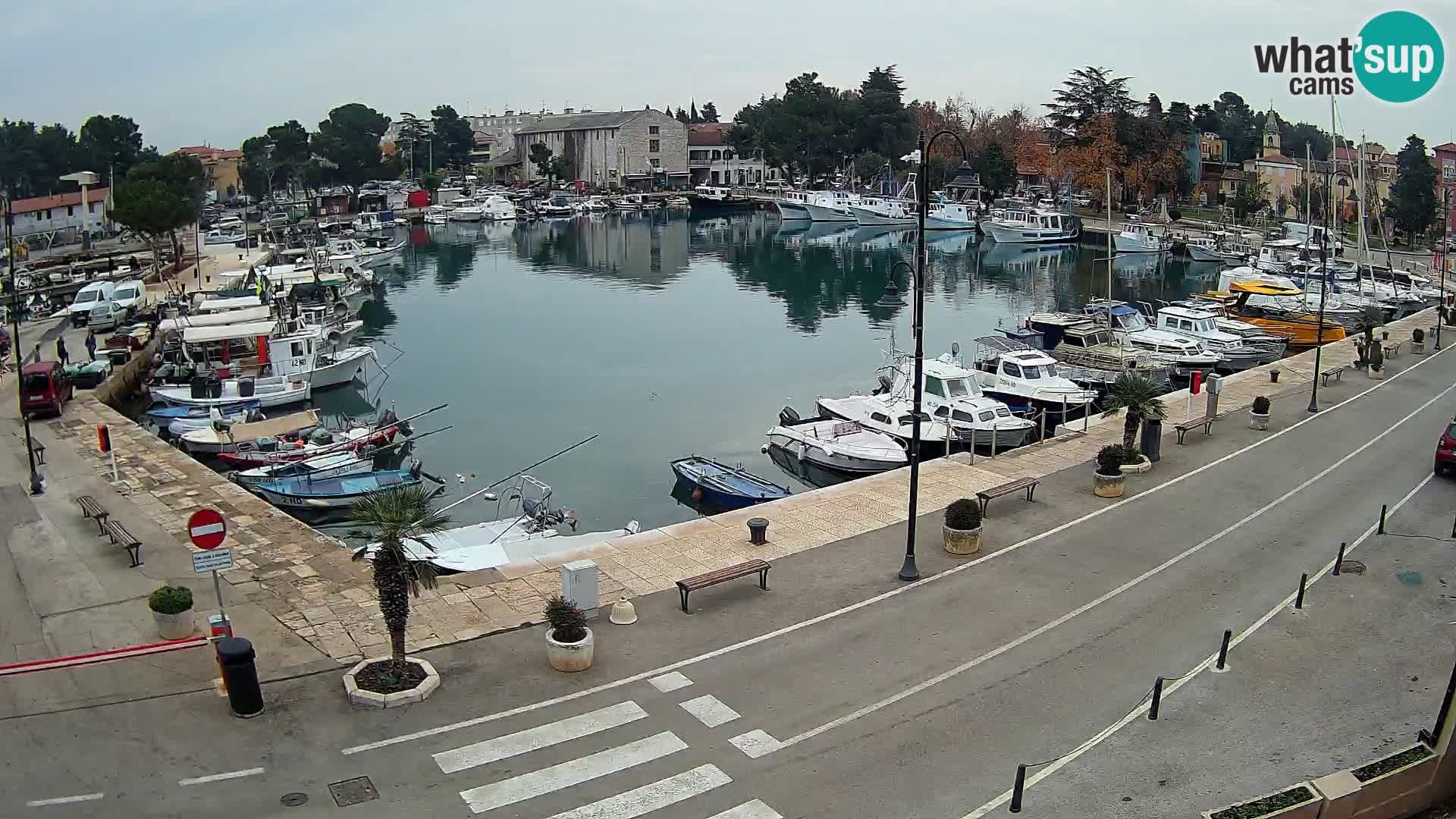 Novigrad kamera Mandrač – Istra