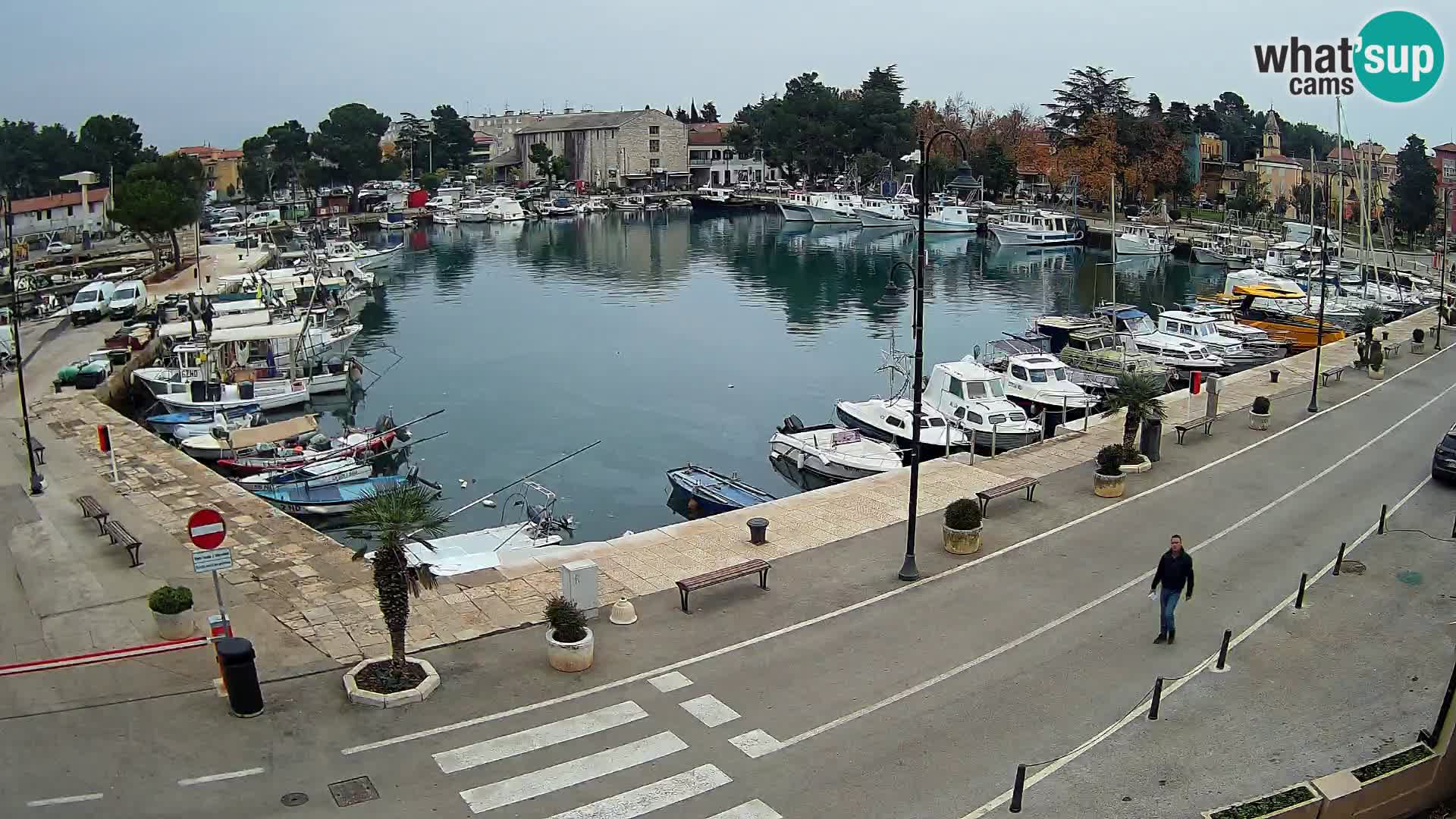 Novigrad – puerto viejo “Mandrač”