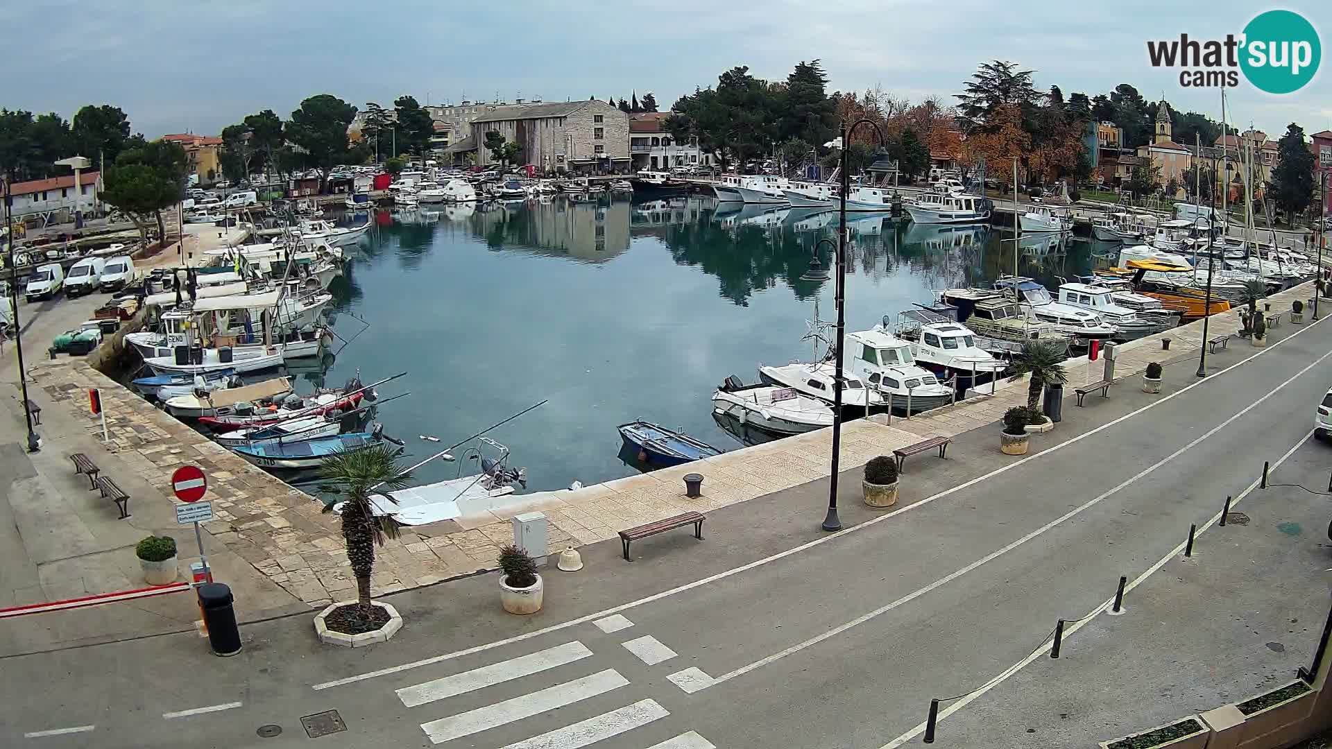 Novigrad webcam Mandrač | Cittanova in Istria – Porto vecchio