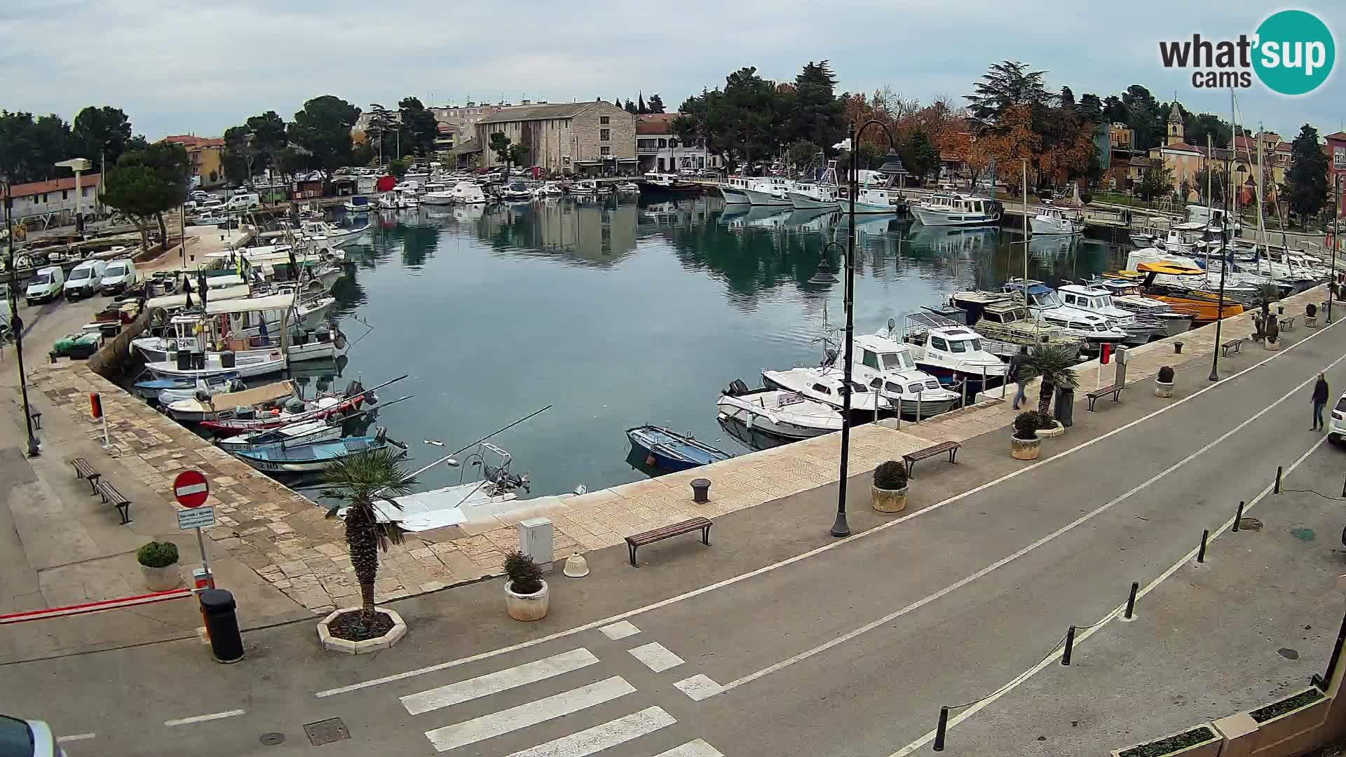 Novigrad –  Mandrač