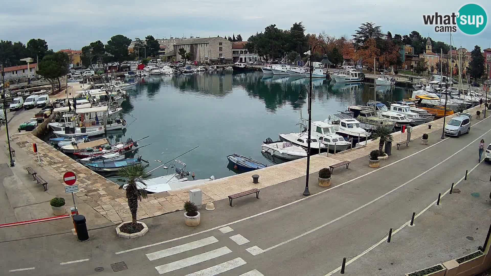 Novigrad – puerto viejo “Mandrač”