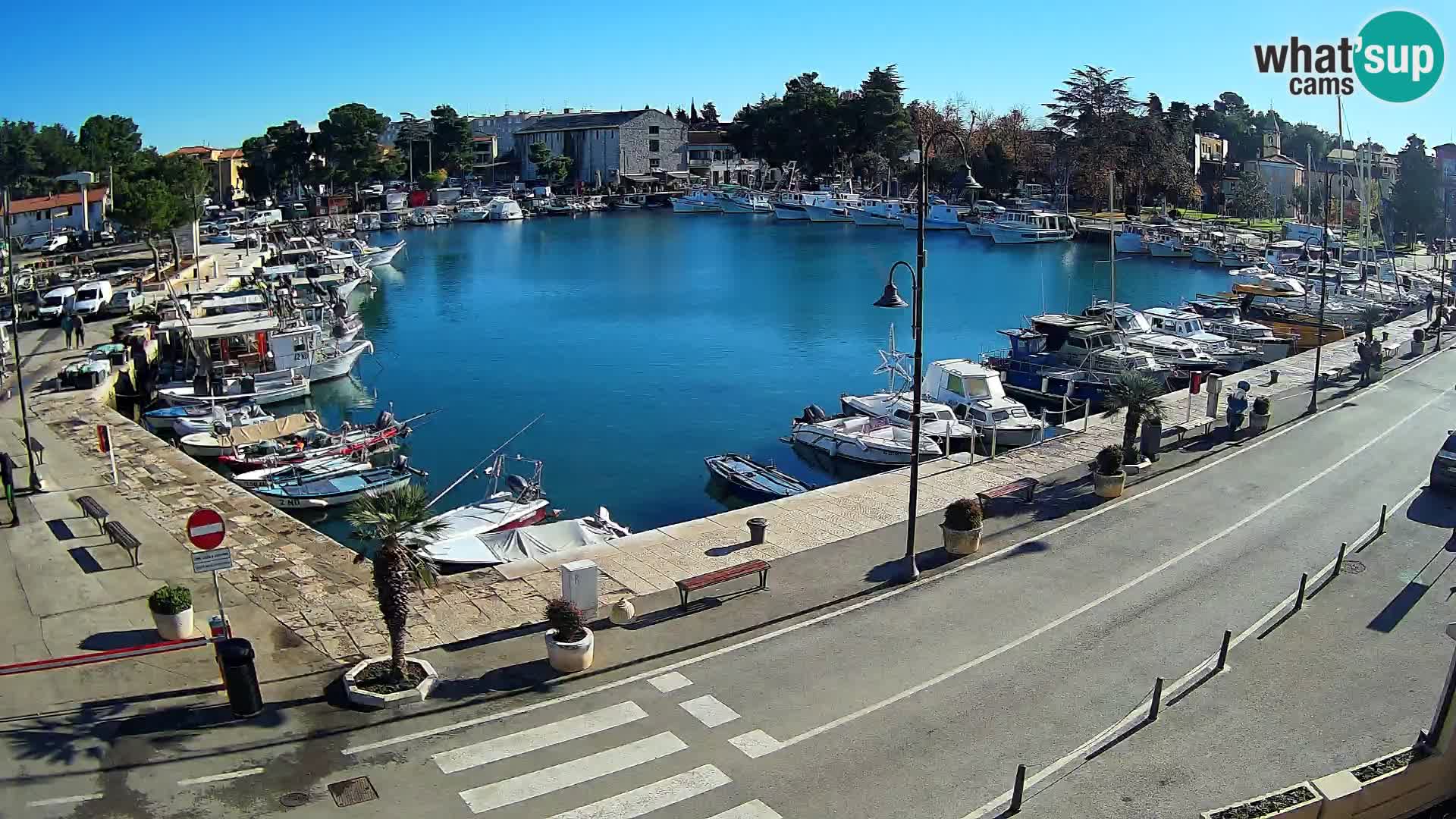 Novigrad webcam Mandrač | Cittanova in Istria – Porto vecchio