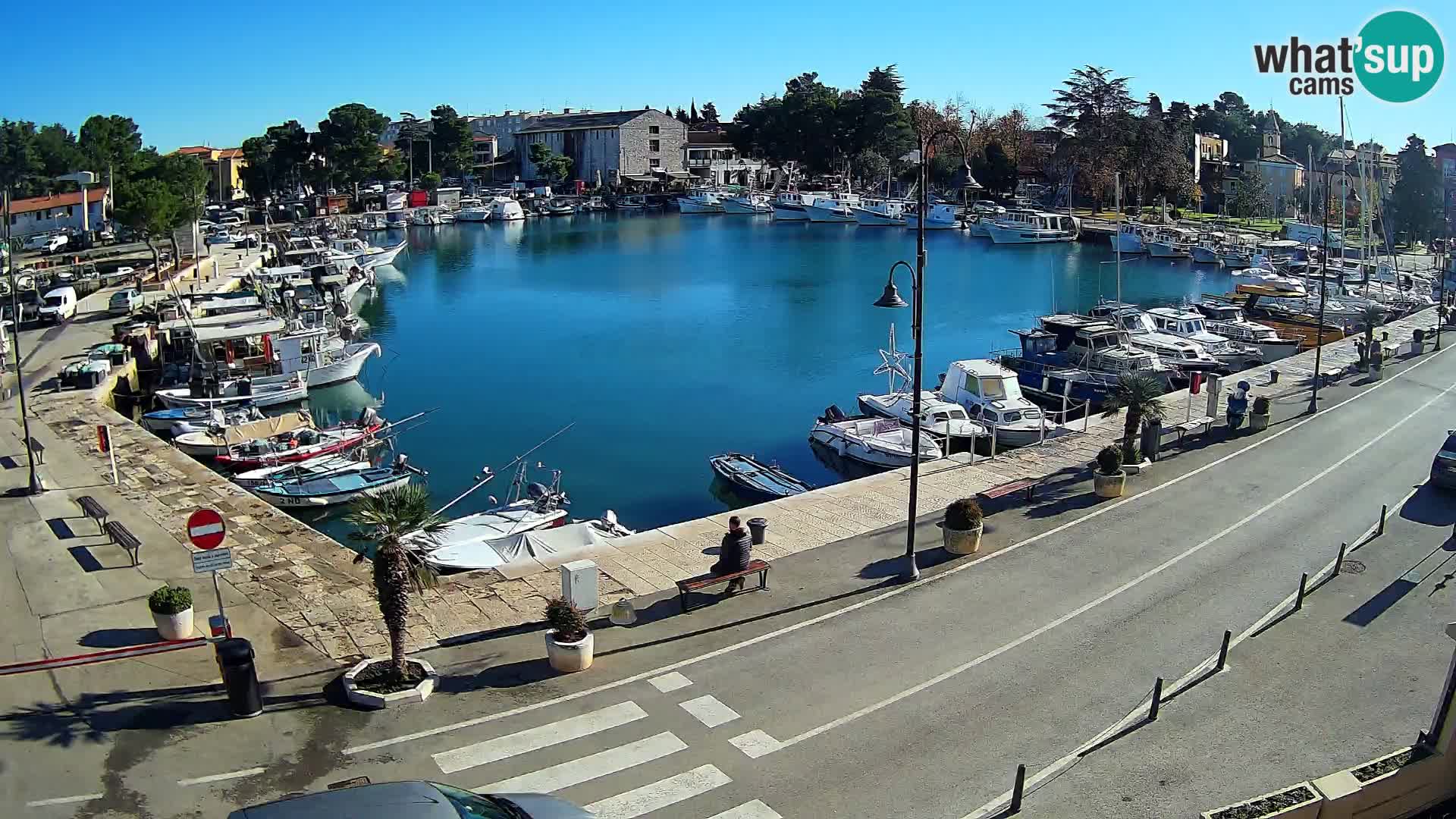 Novigrad webcam Mandrač | alten Hafen – Istrien