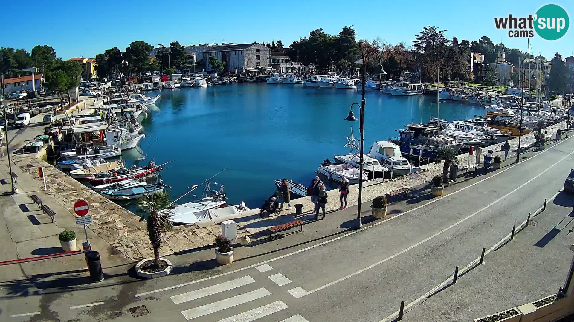 Novigrad webcam Mandrač | alten Hafen – Istrien