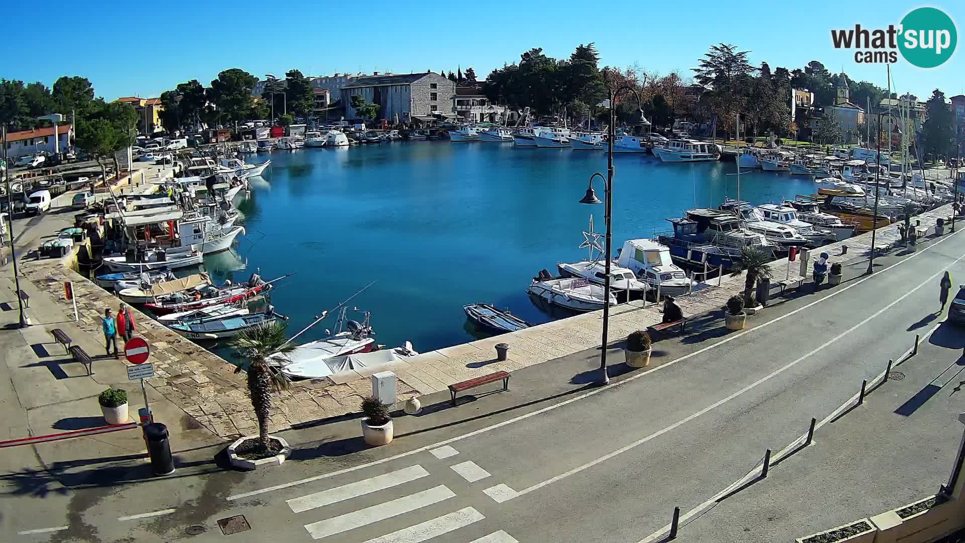 Novigrad webcam Mandrač | alten Hafen – Istrien