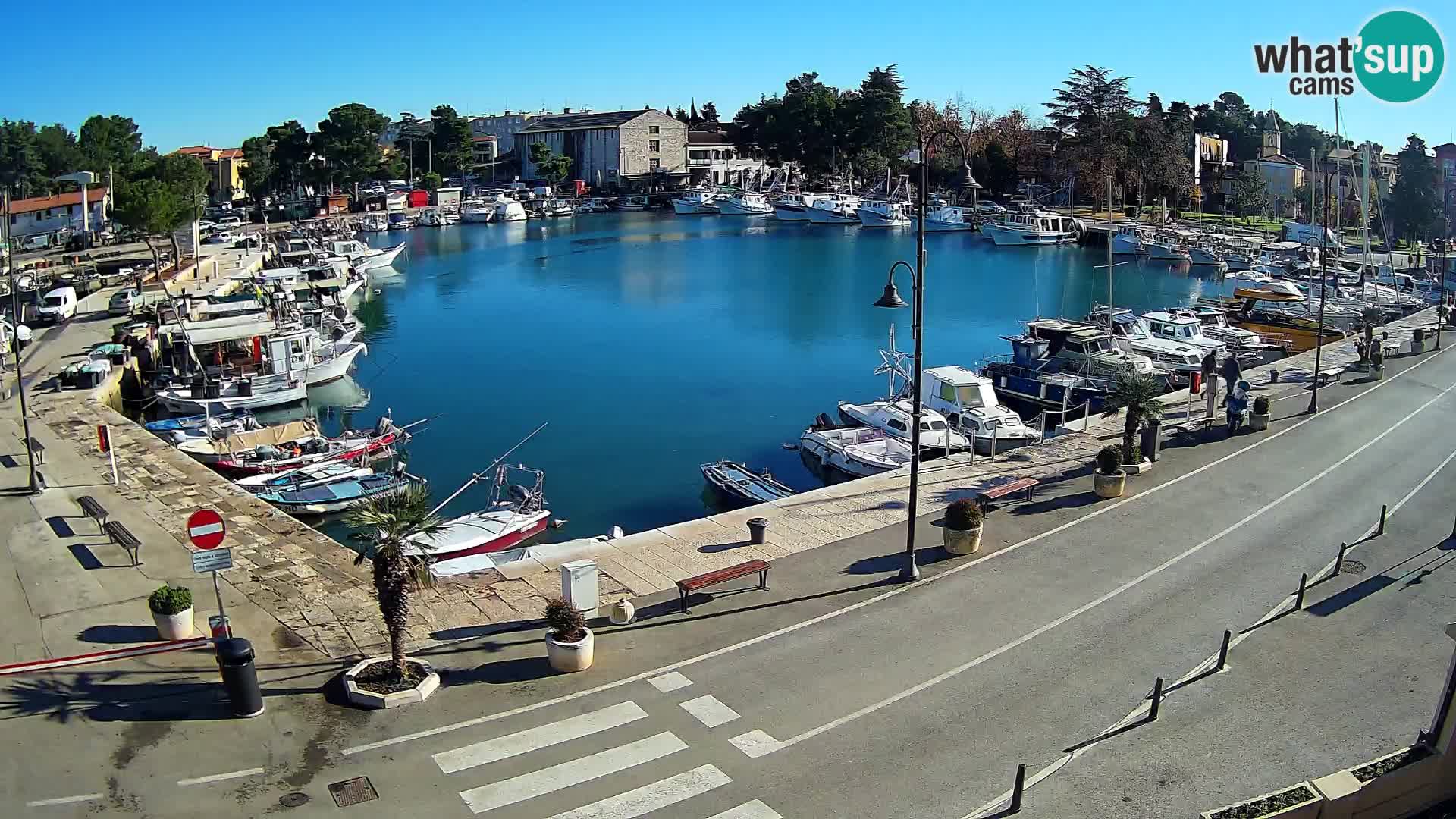 Novigrad webcam Mandrač | Cittanova in Istria – Porto vecchio