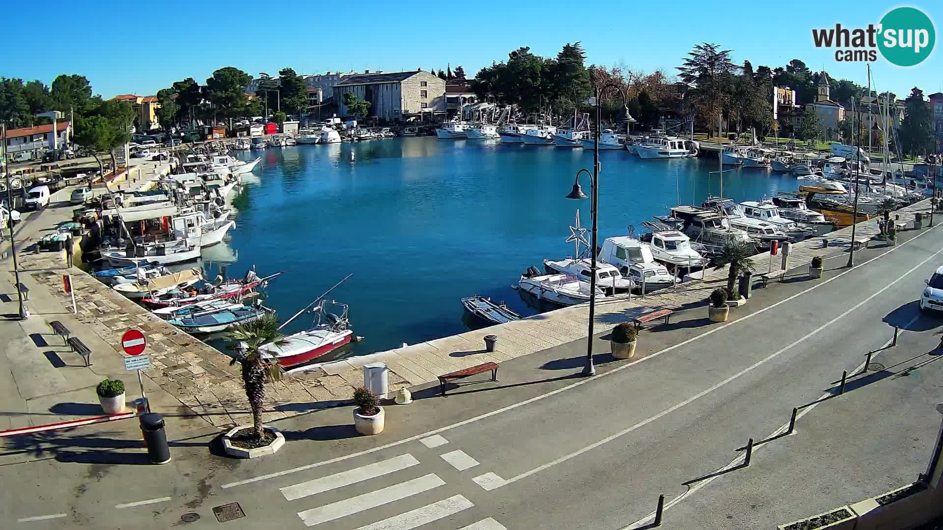 Novigrad webcam Mandrač | alten Hafen – Istrien