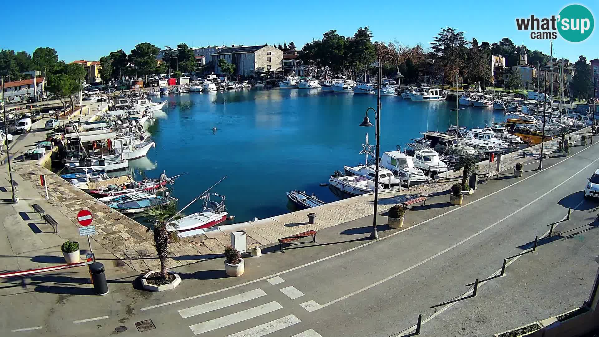 Novigrad webcam Mandrač | alten Hafen – Istrien