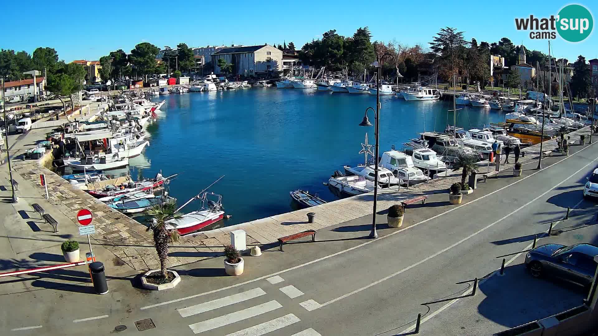 Novigrad – puerto viejo “Mandrač”