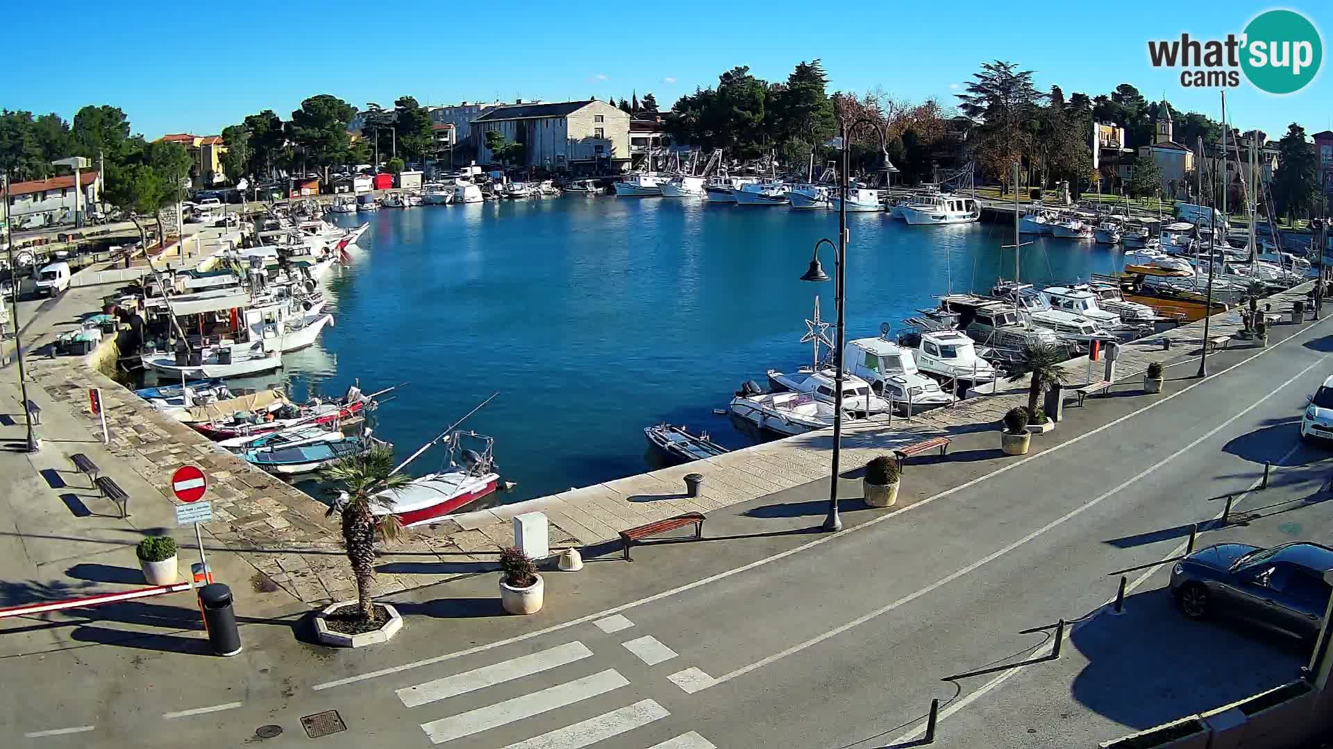 Novigrad –  Mandrač