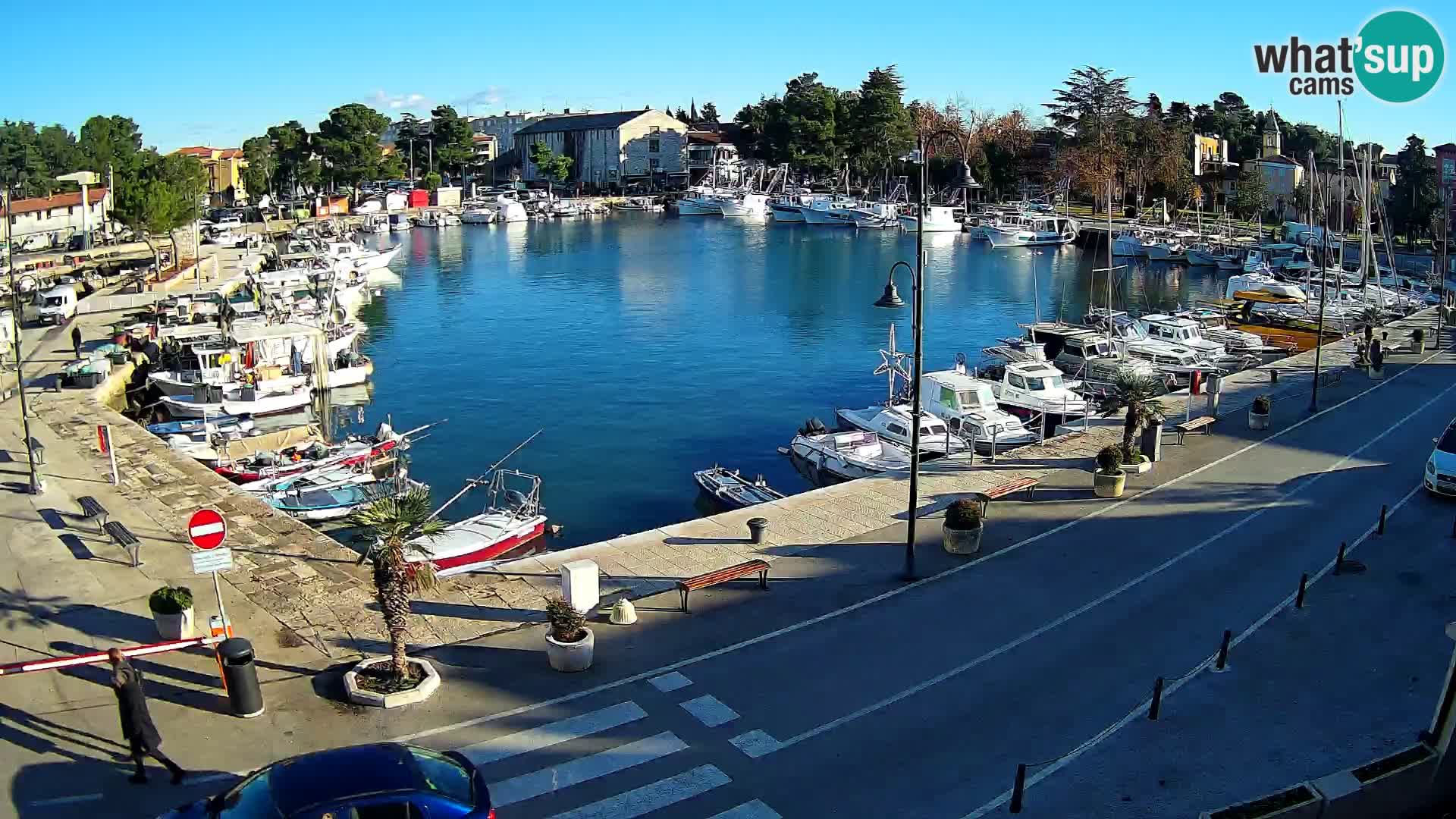 Novigrad –  Mandrač