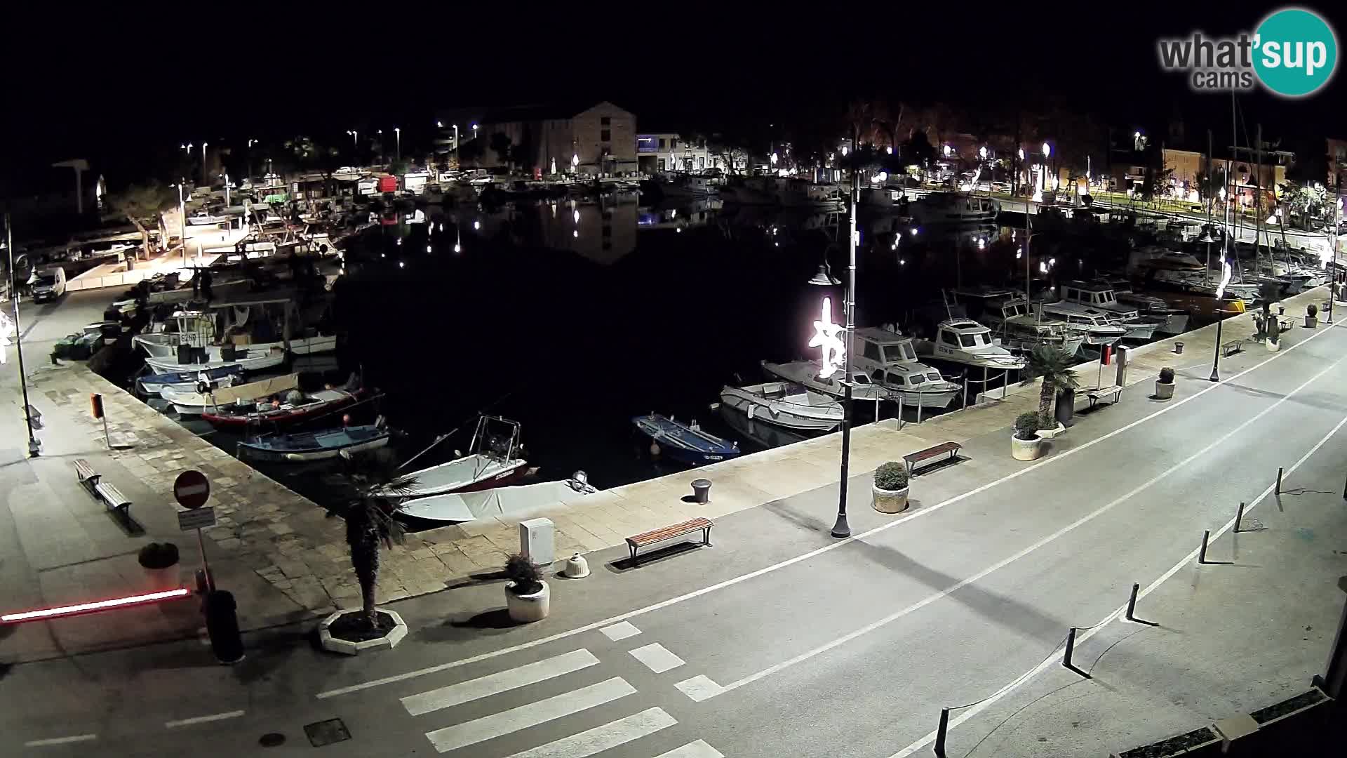 Novigrad webcam Mandrač | Cittanova in Istria – Porto vecchio