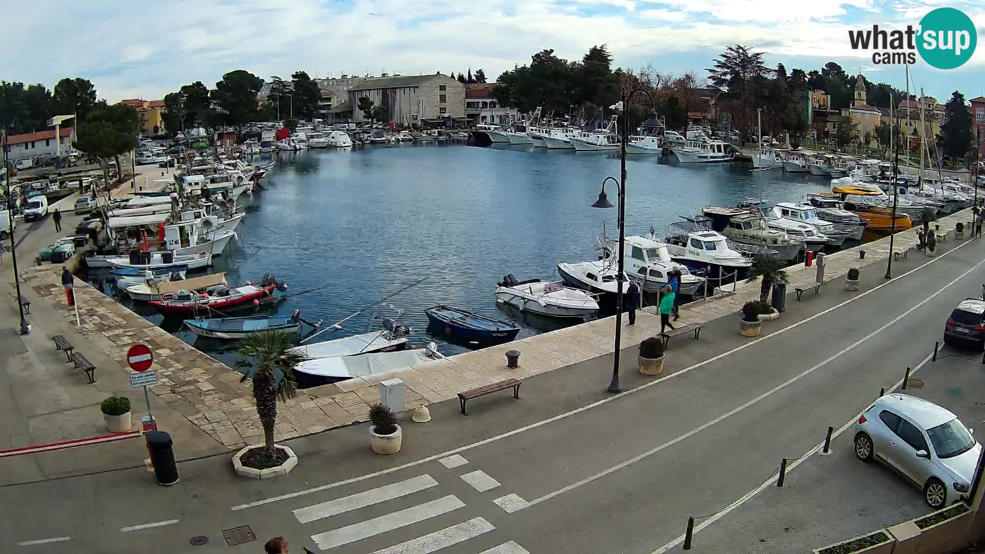 Novigrad webcam Mandrač | alten Hafen – Istrien