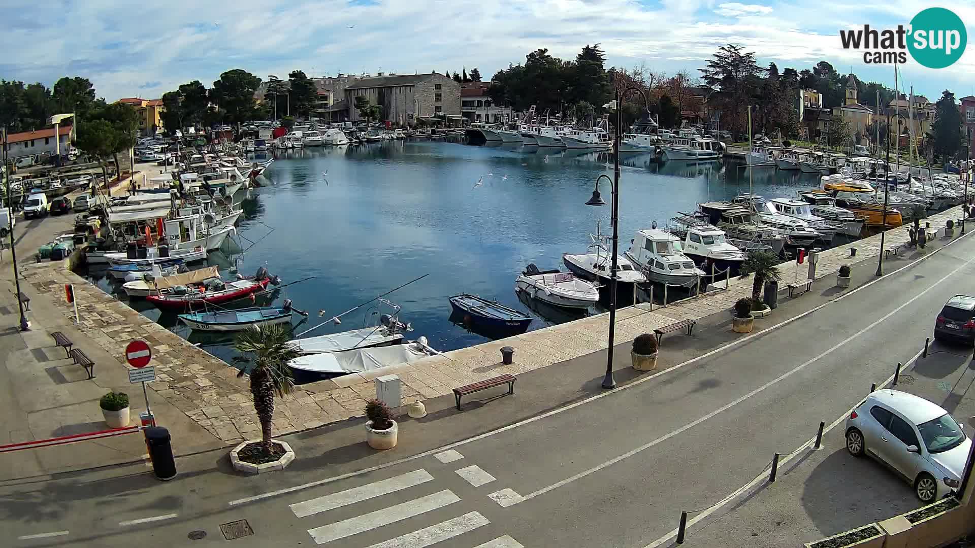 Novigrad –  Mandrač