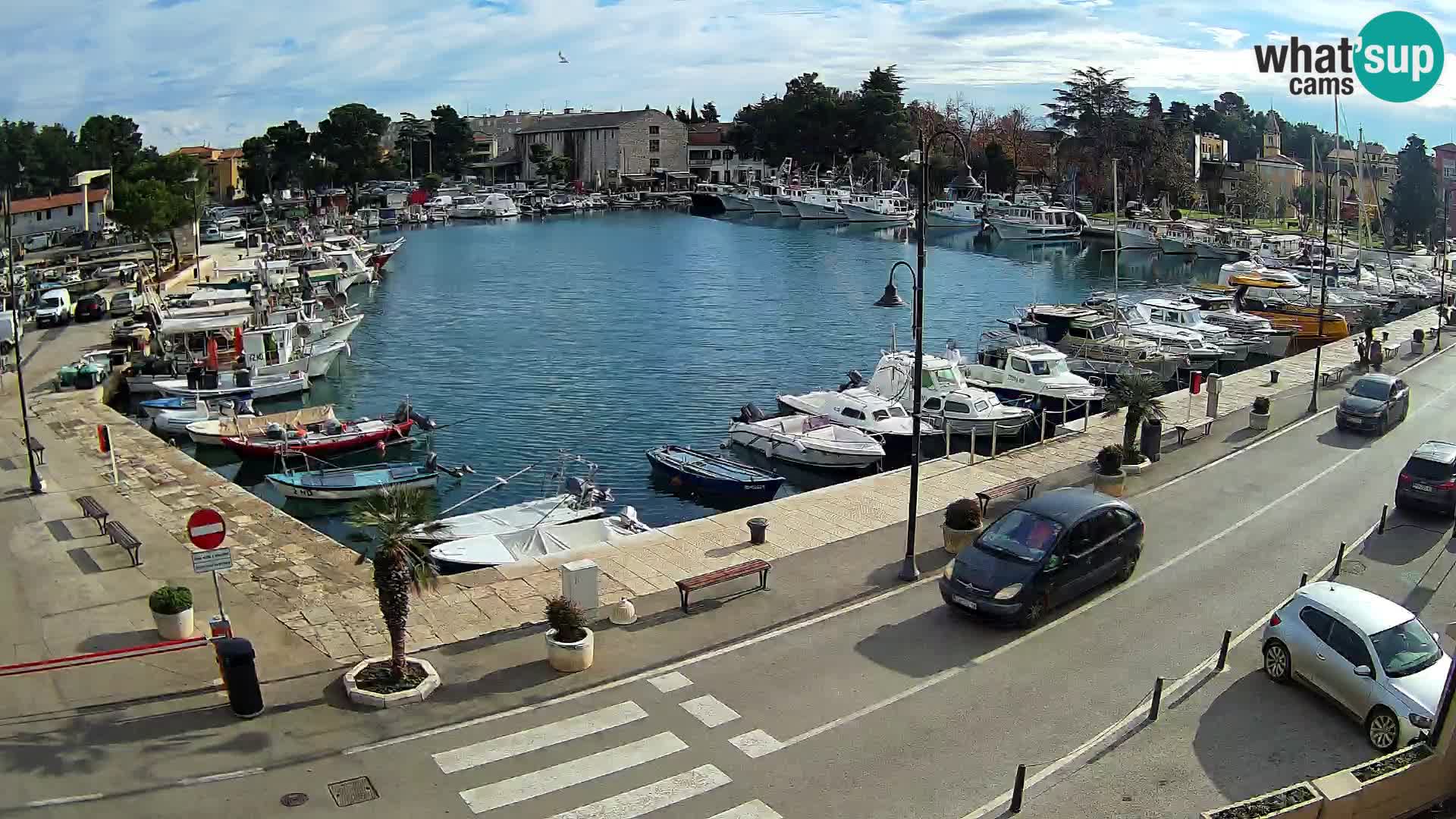 Novigrad webcam Mandrač | alten Hafen – Istrien