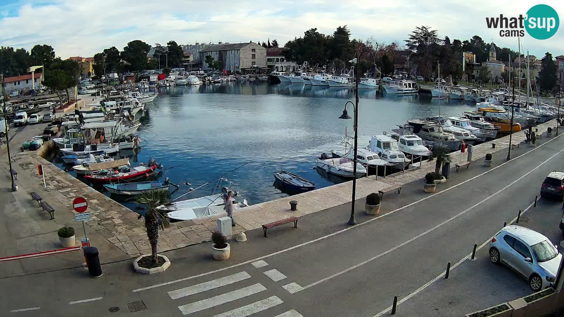 Novigrad webcam Mandrač | alten Hafen – Istrien