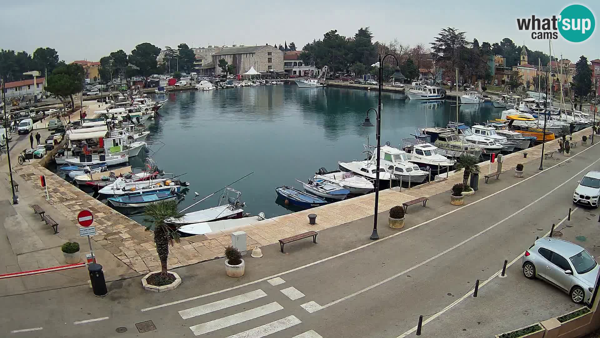 Novigrad kamera Mandrač – Istra