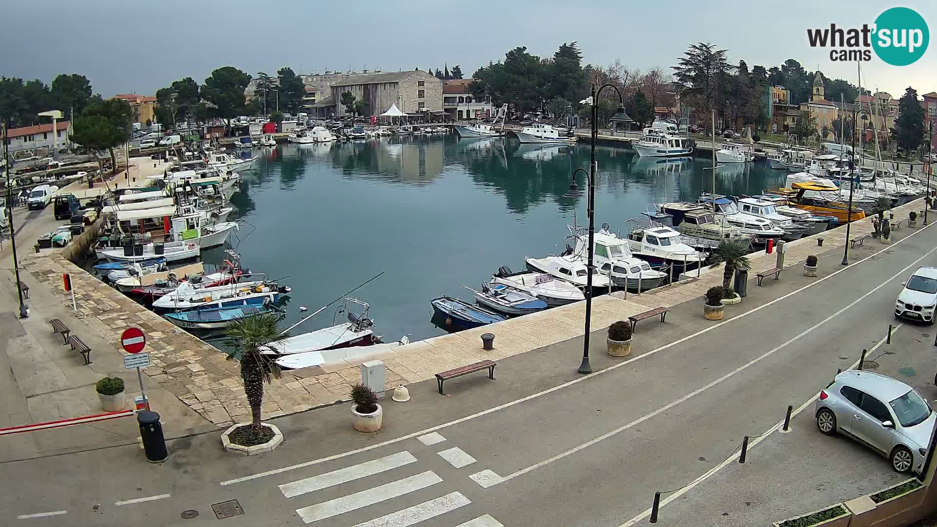 Novigrad webcam Mandrač | Cittanova in Istria – Porto vecchio