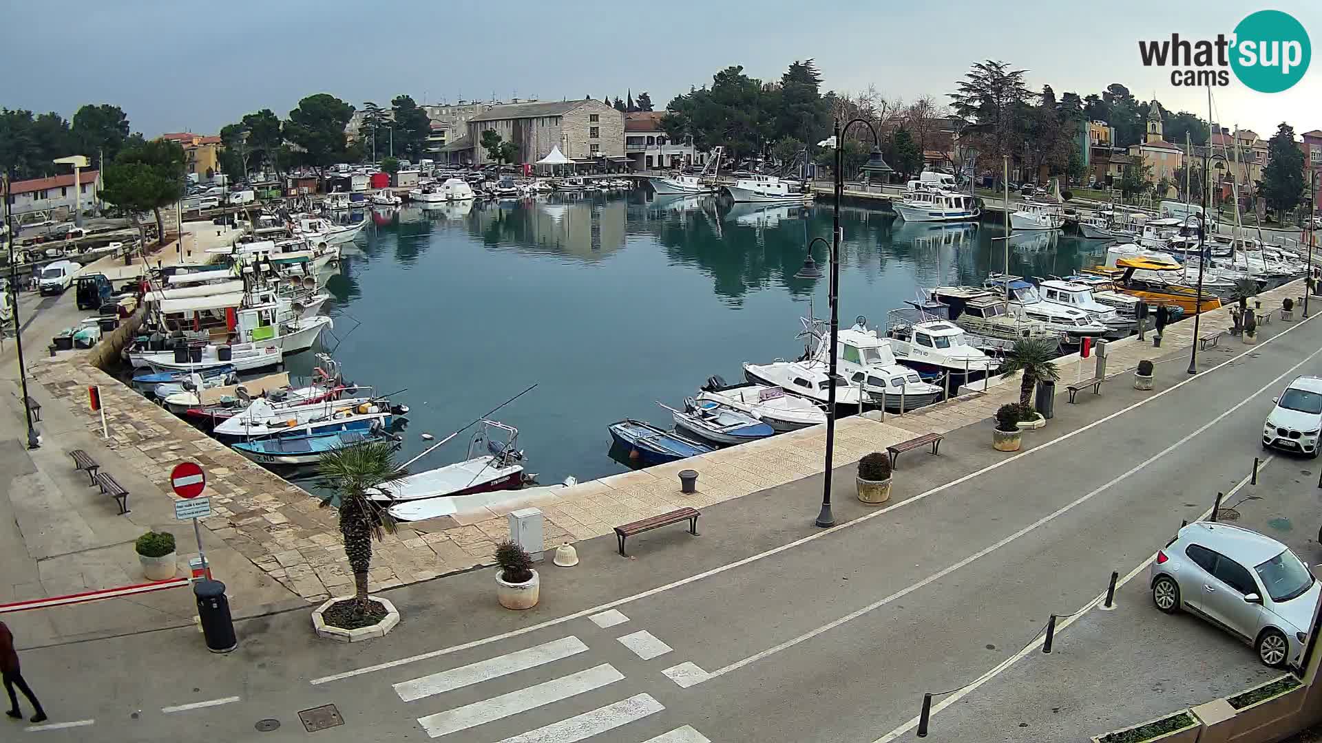 Novigrad webcam Mandrač | Cittanova in Istria – Porto vecchio