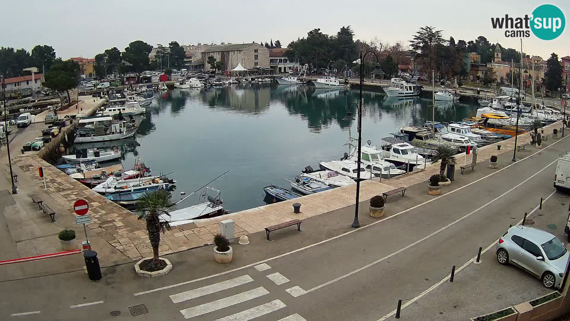 Novigrad webcam Mandrač | Cittanova in Istria – Porto vecchio