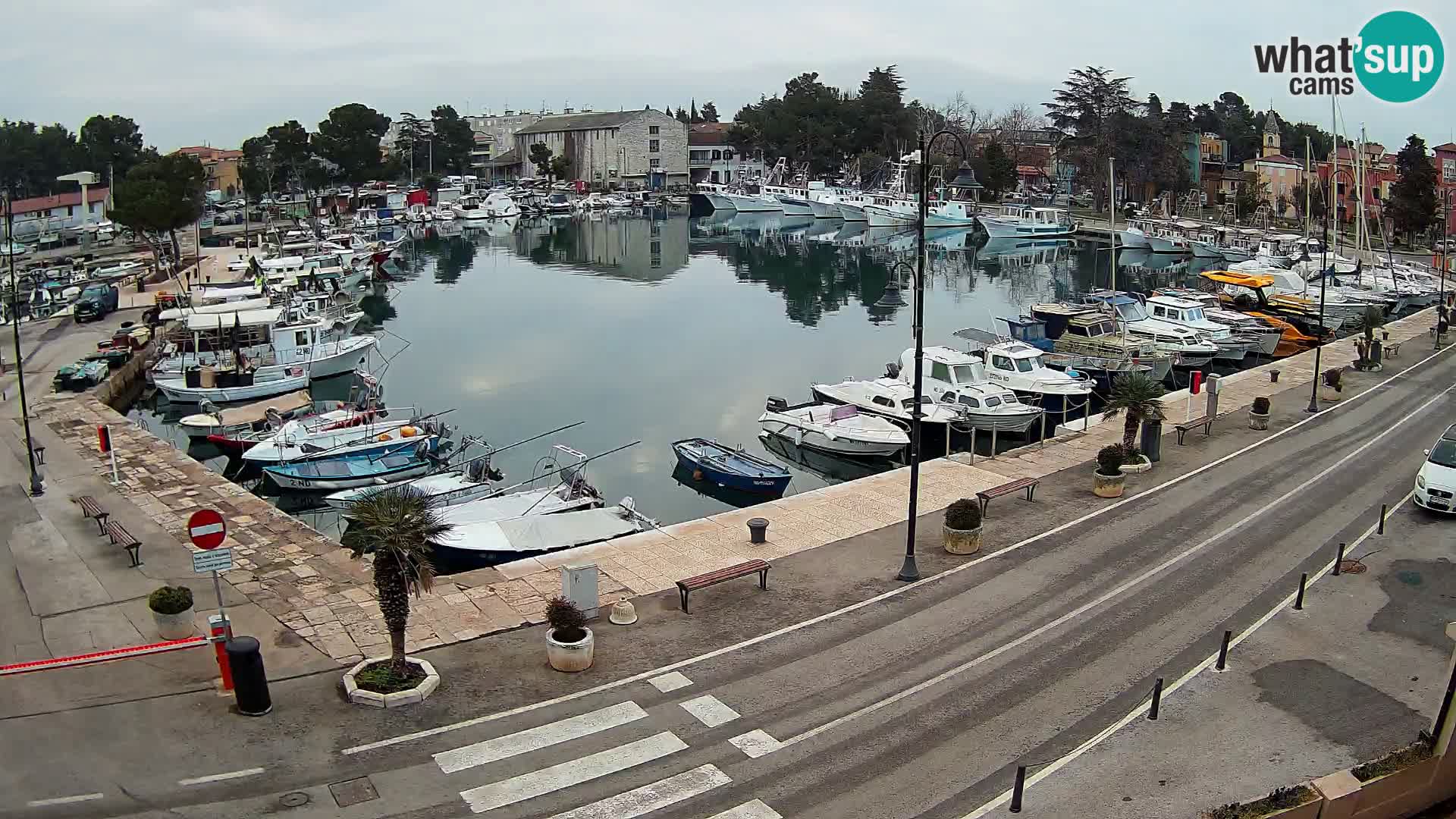 Novigrad webcam Mandrač | Cittanova in Istria – Porto vecchio