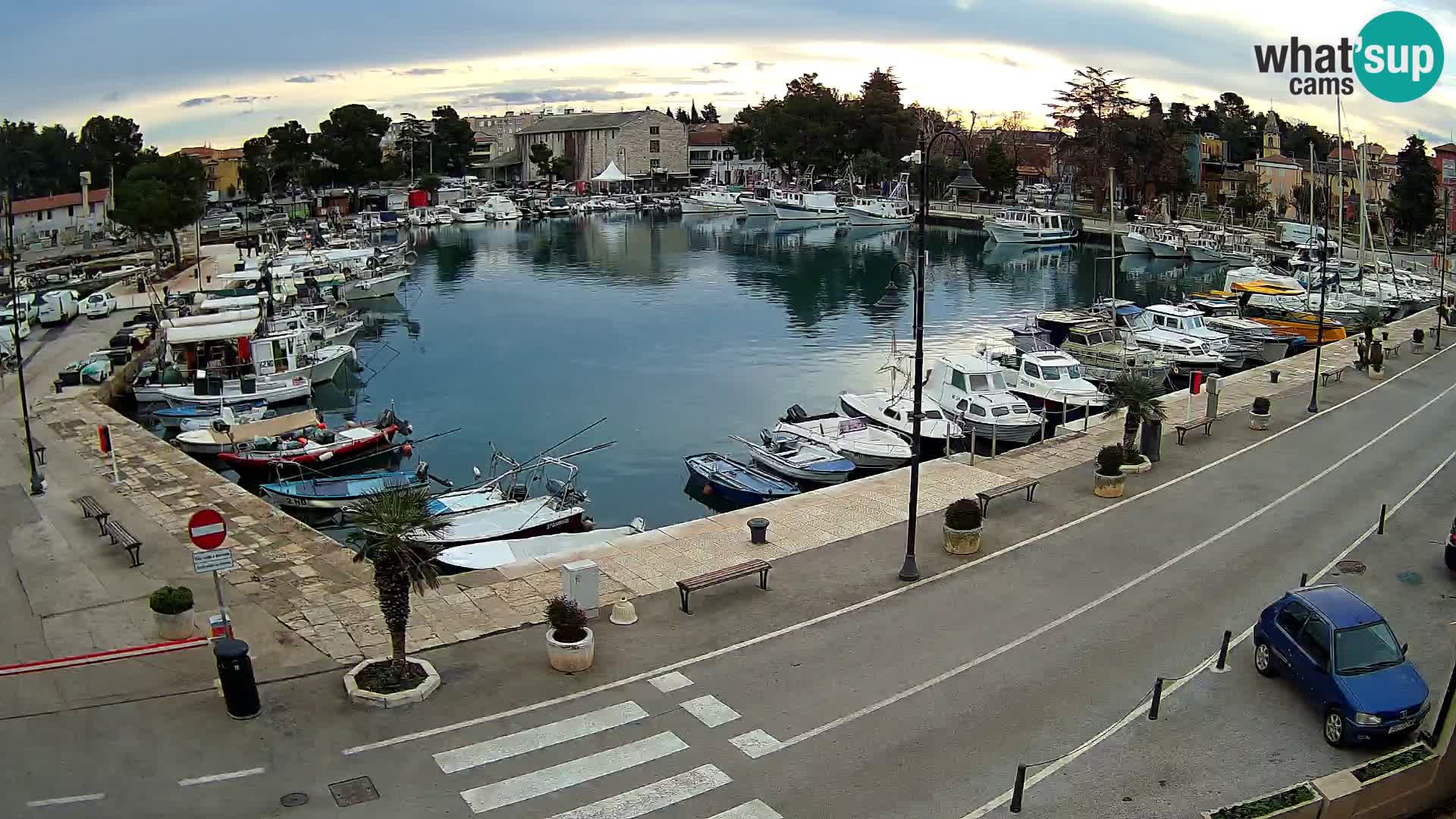 Novigrad webcam Mandrač | alten Hafen – Istrien