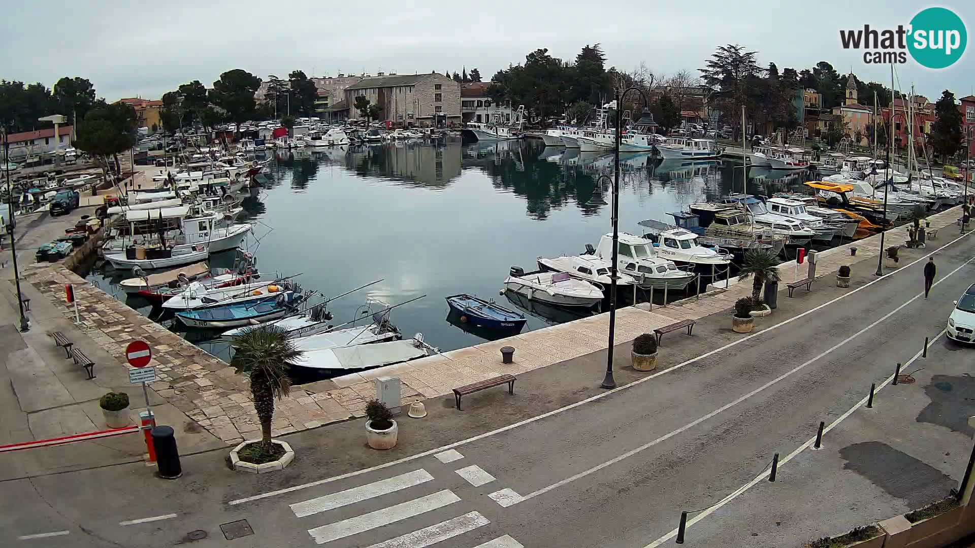 Novigrad webcam Mandrač | Cittanova in Istria – Porto vecchio