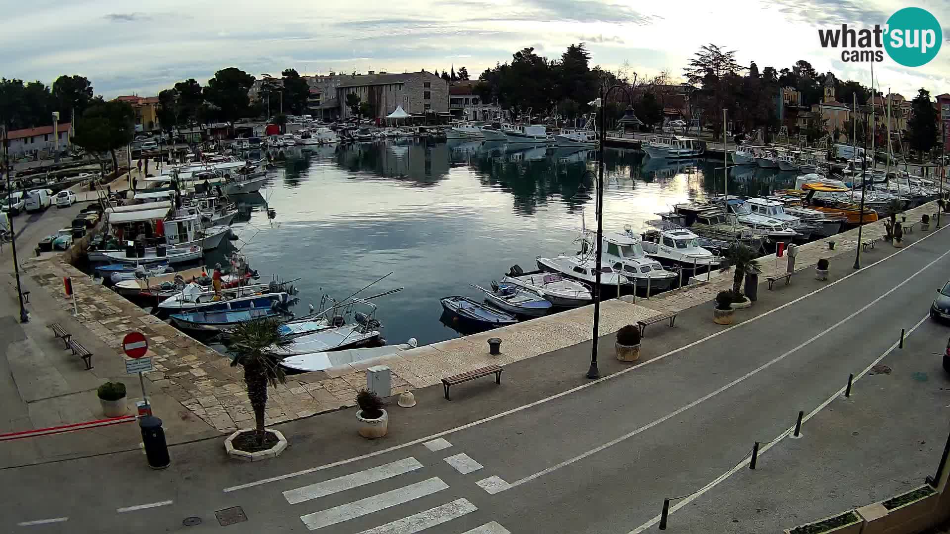 Novigrad – vieux port “Mandrač”