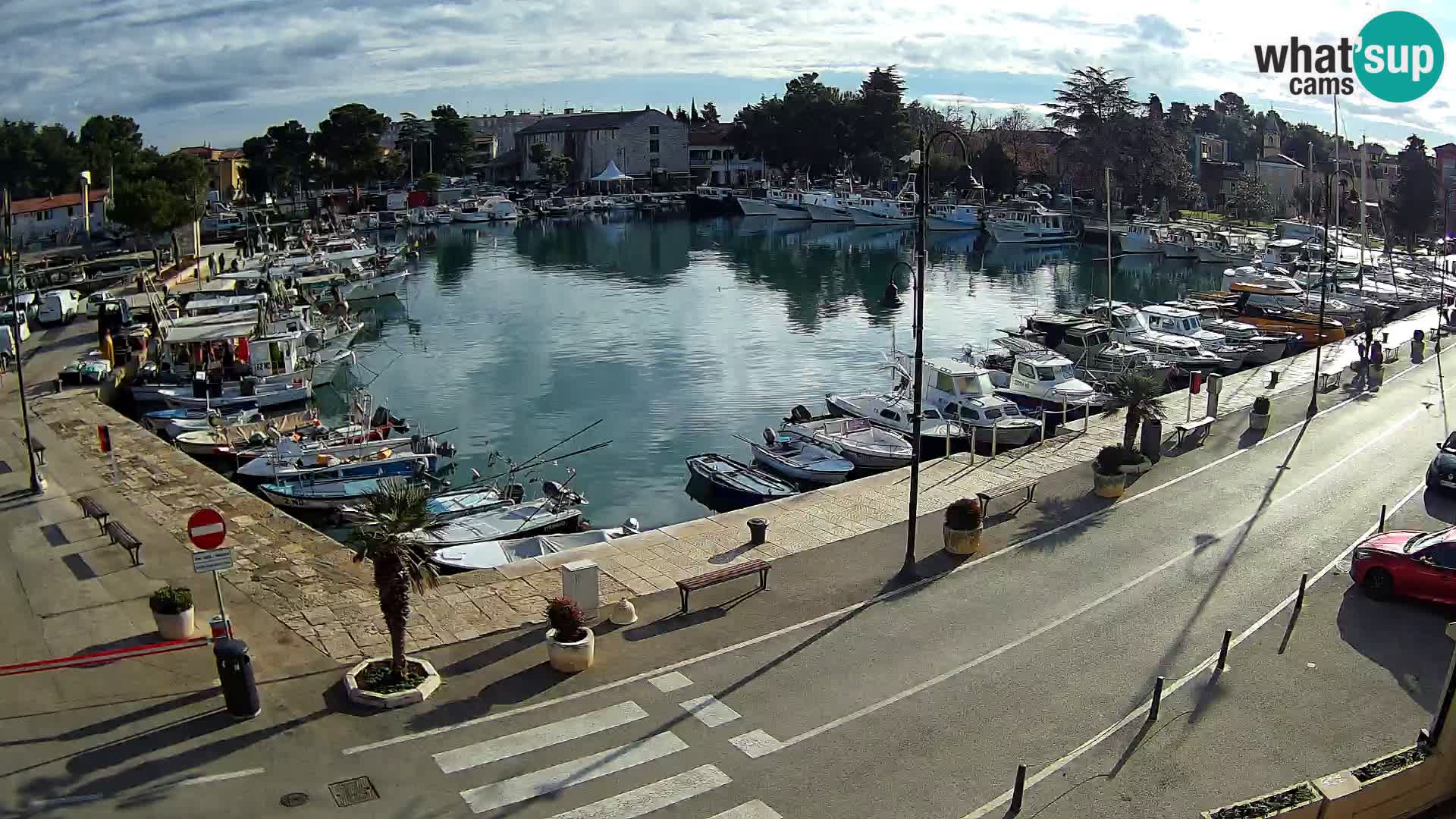 Novigrad webcam Mandrač | alten Hafen – Istrien