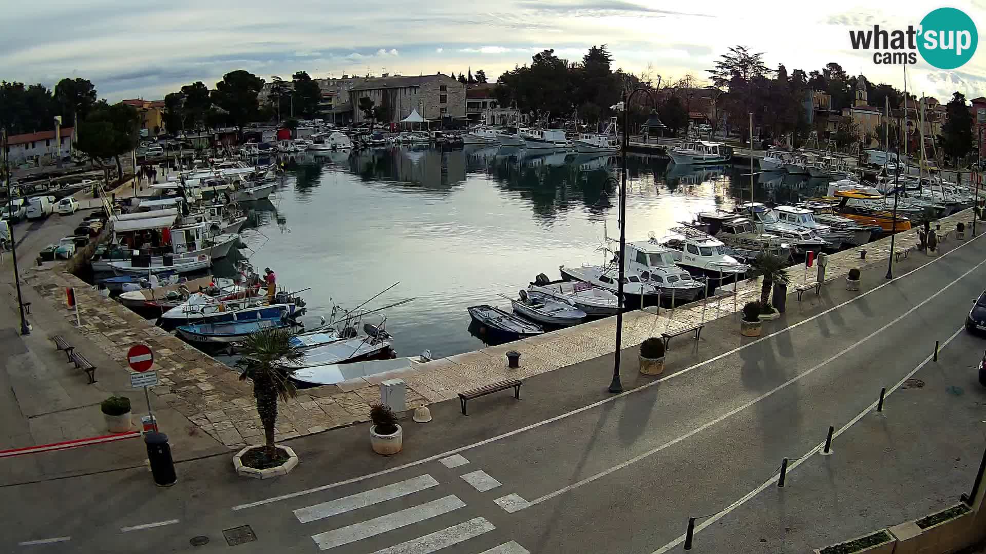 Novigrad webcam Mandrač | alten Hafen – Istrien