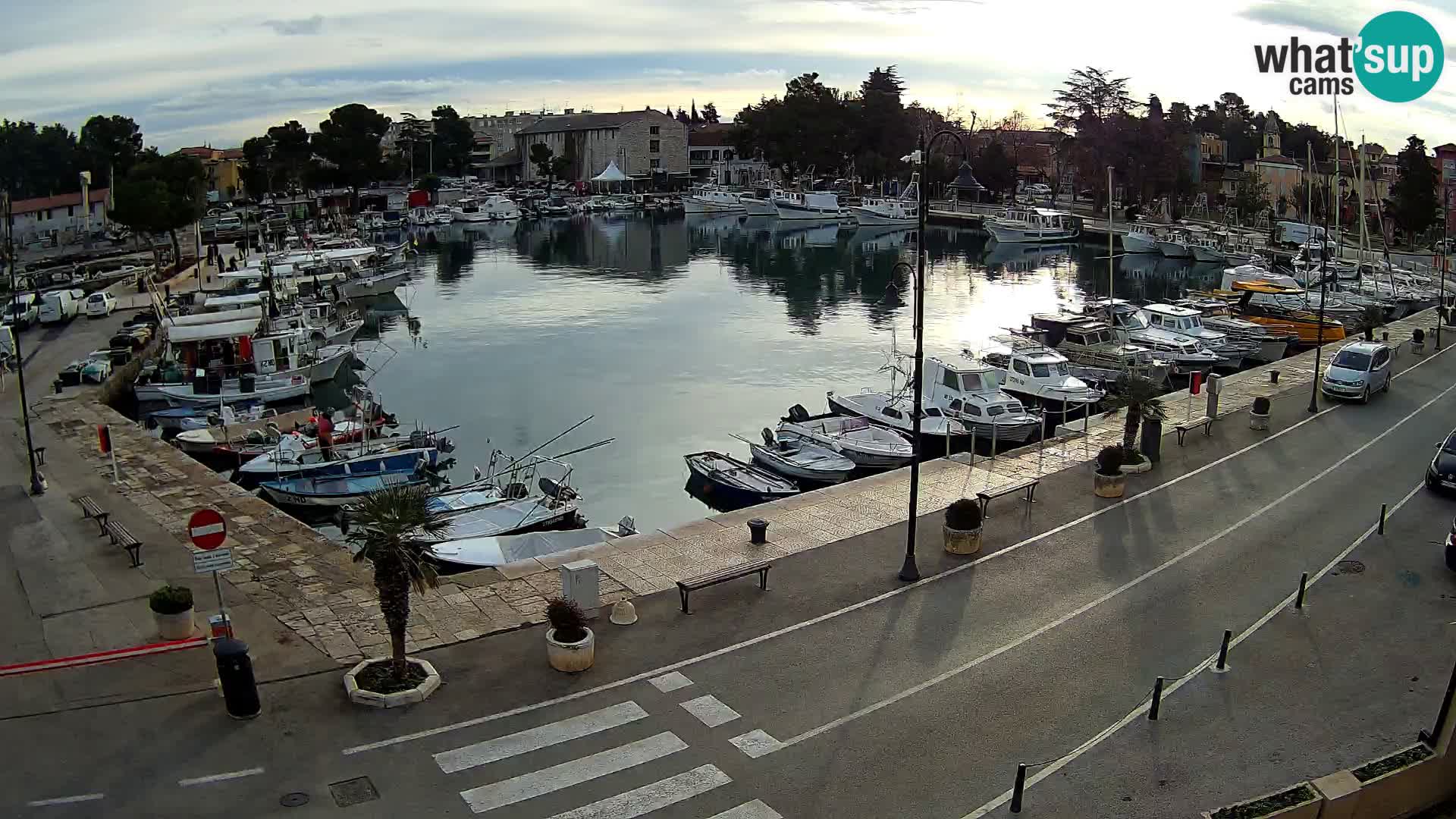 Novigrad webcam Mandrač | Cittanova in Istria – Porto vecchio