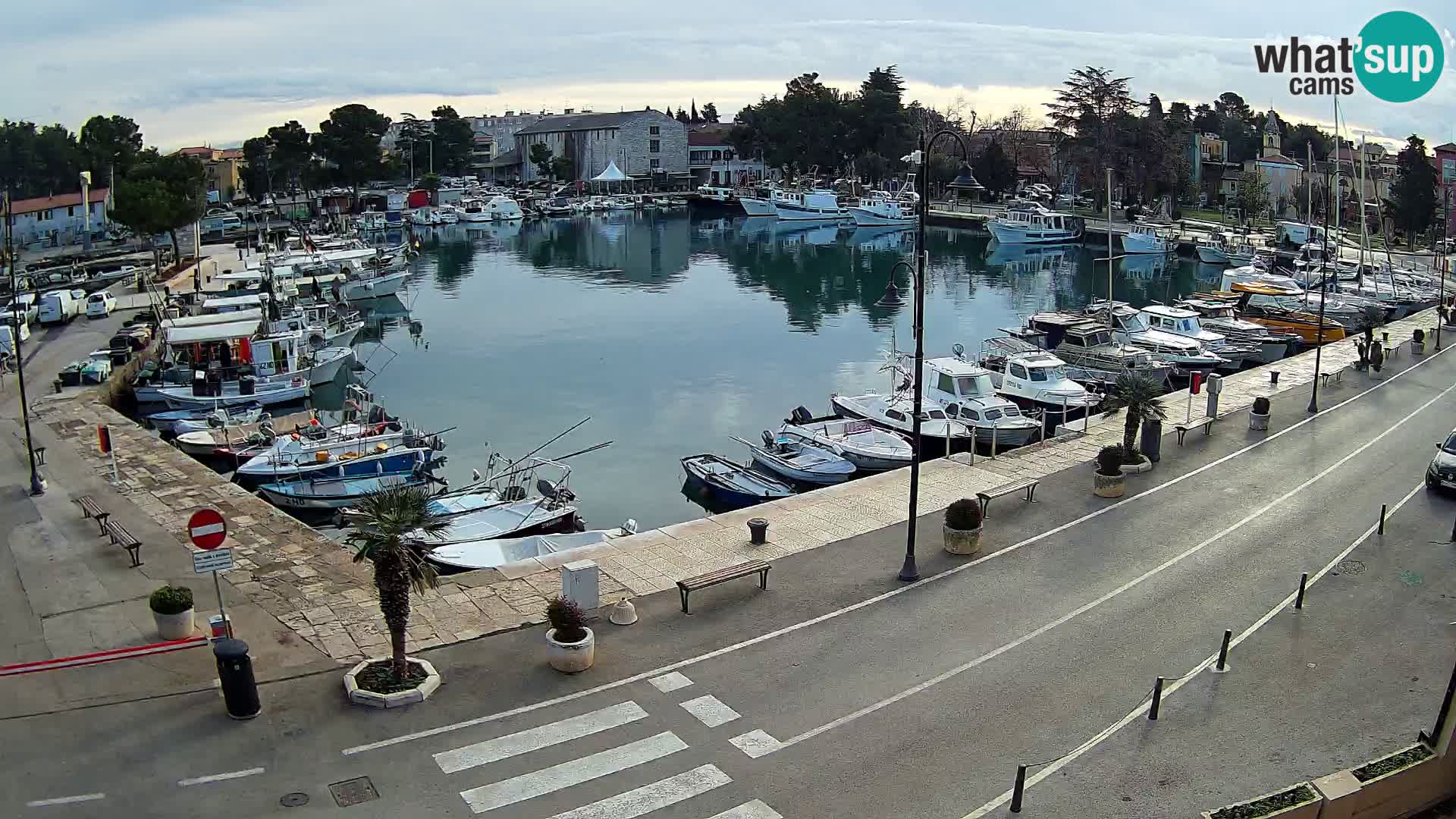 Novigrad webcam Mandrač | alten Hafen – Istrien