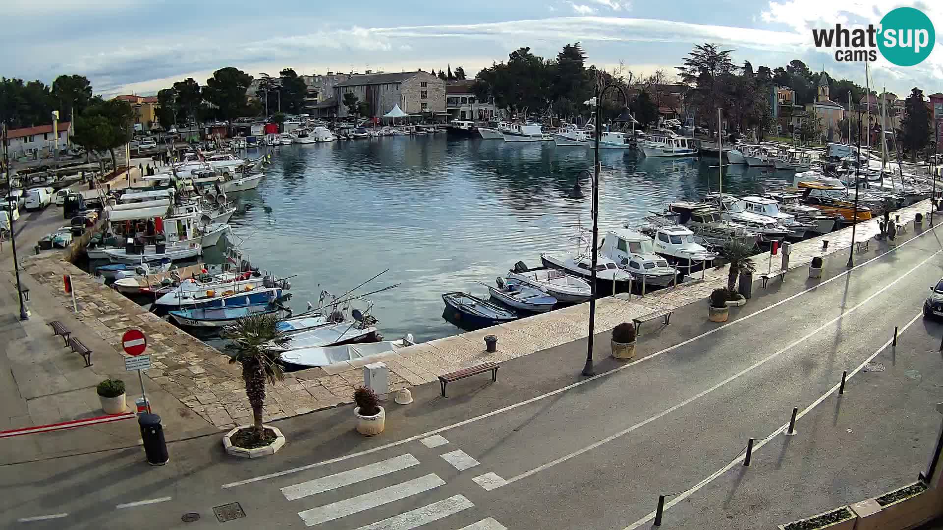 Novigrad webcam Mandrač | alten Hafen – Istrien