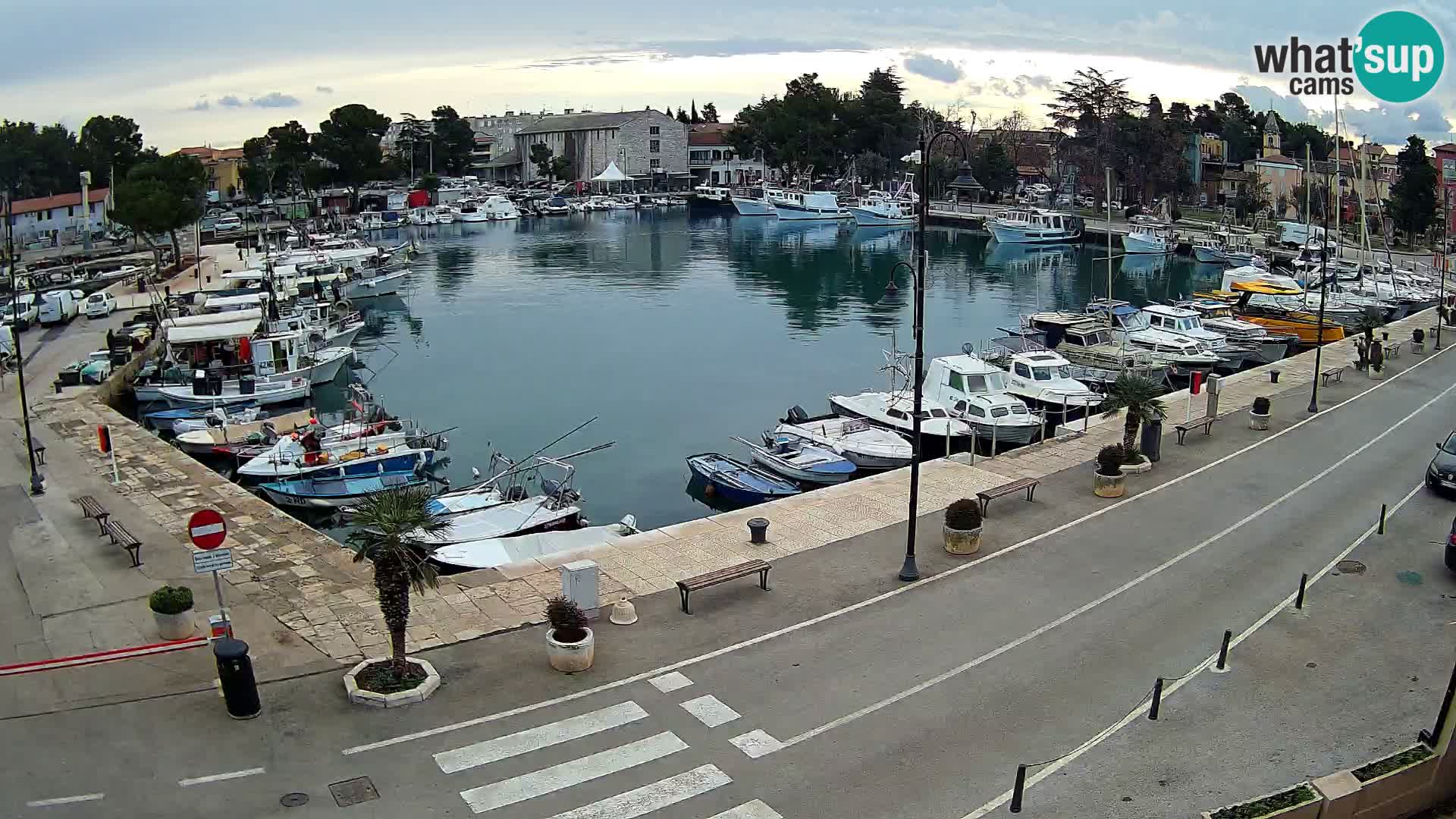 Novigrad webcam Mandrač | alten Hafen – Istrien