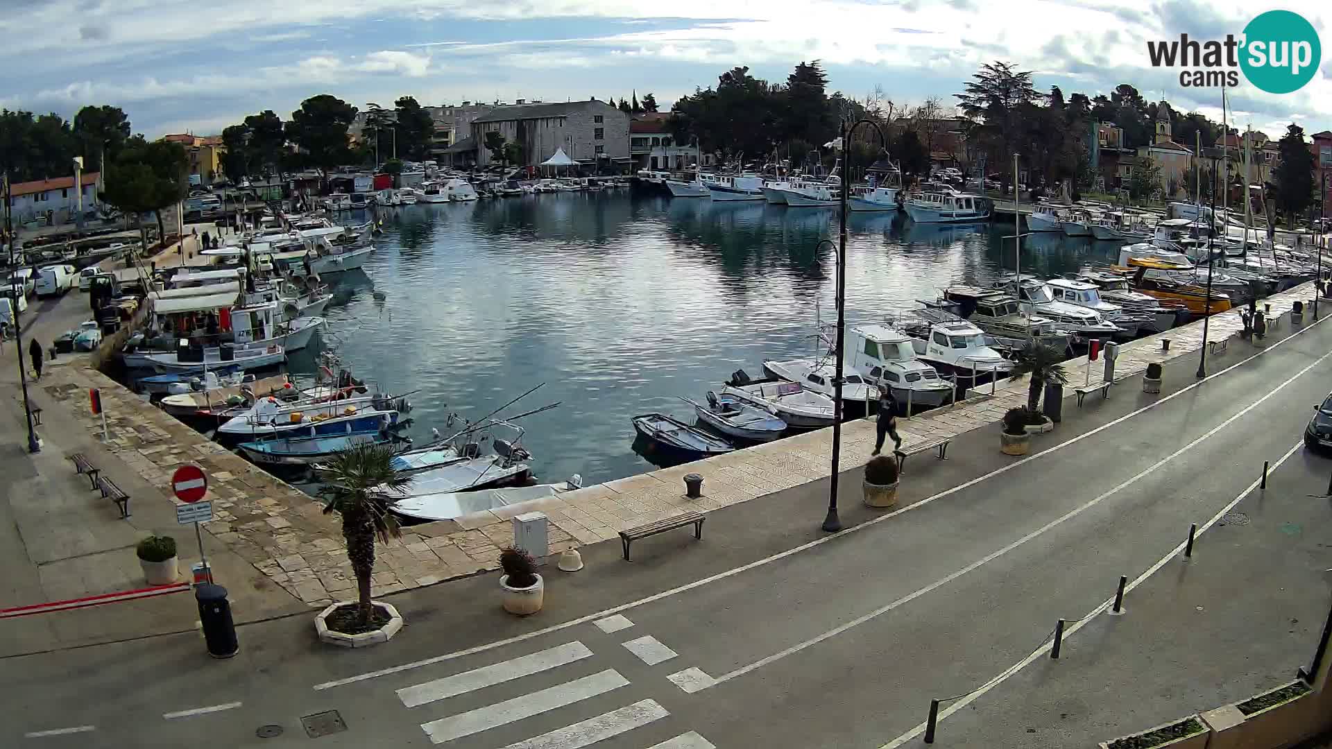 Novigrad webcam Mandrač | alten Hafen – Istrien