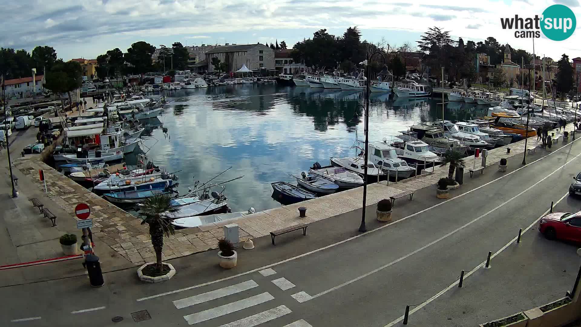 Novigrad webcam Mandrač | alten Hafen – Istrien