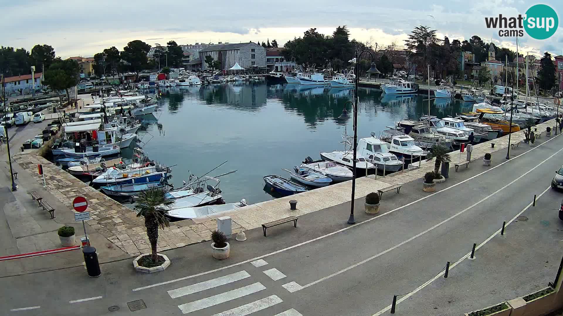 Novigrad webcam Mandrač | Cittanova in Istria – Porto vecchio